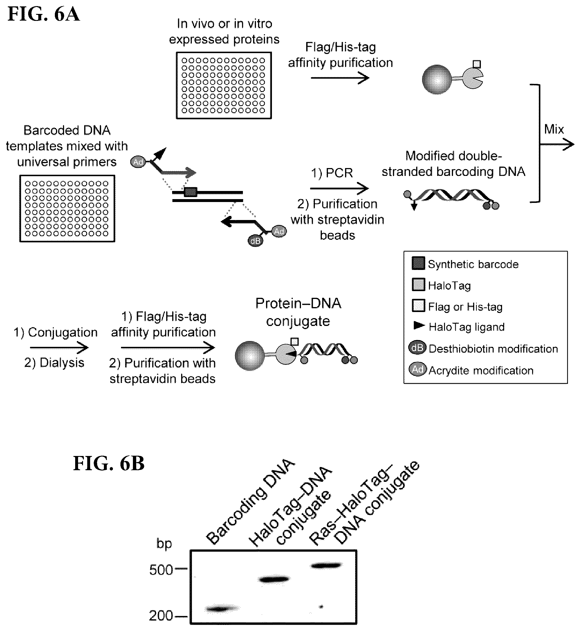 Patent US12305226 Figure 6 – Barcoded protein array for multiplex single-molecule interaction profiling