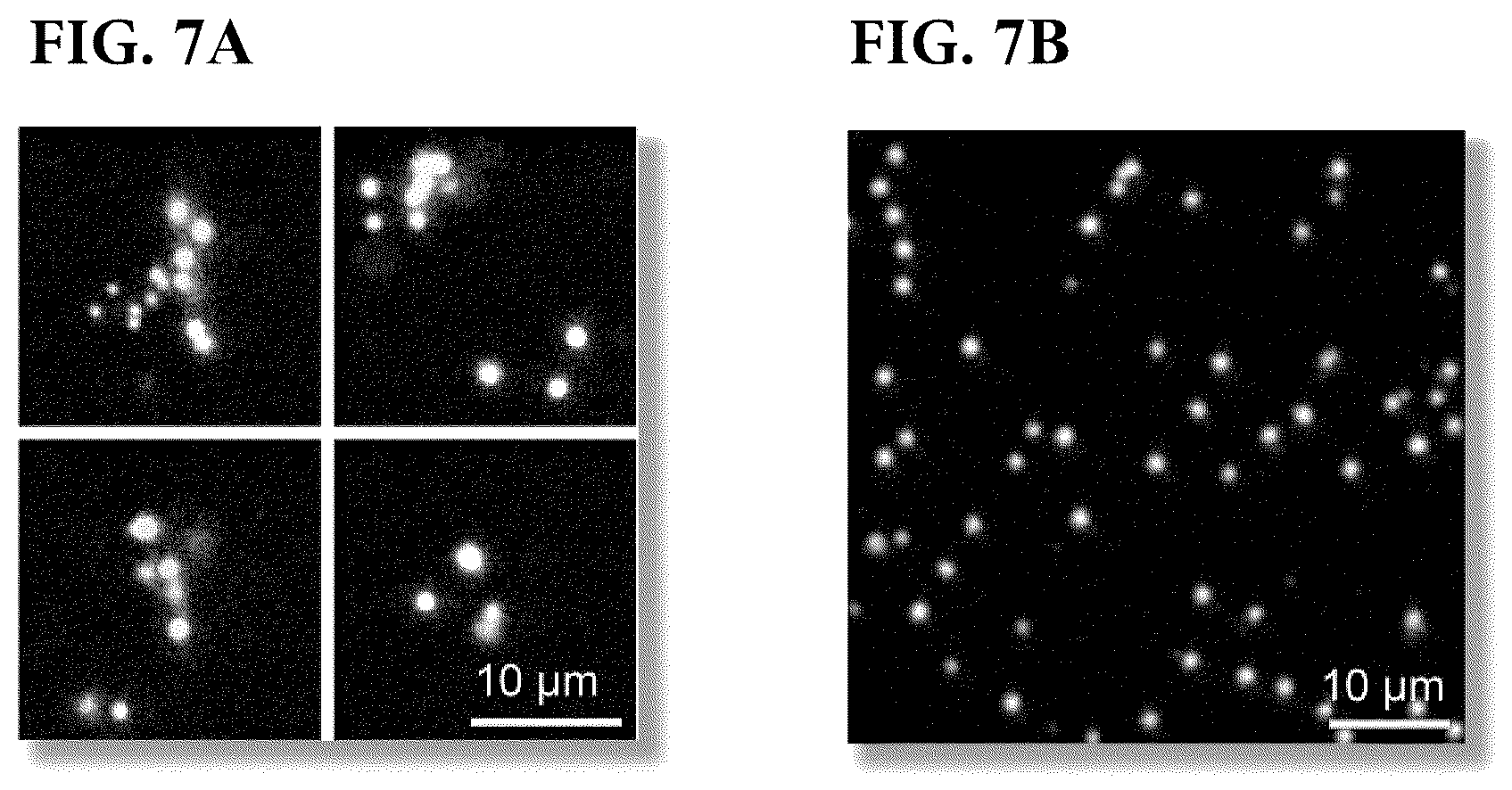 Patent US12305226 Figure 7 – Barcoded protein array for multiplex single-molecule interaction profiling