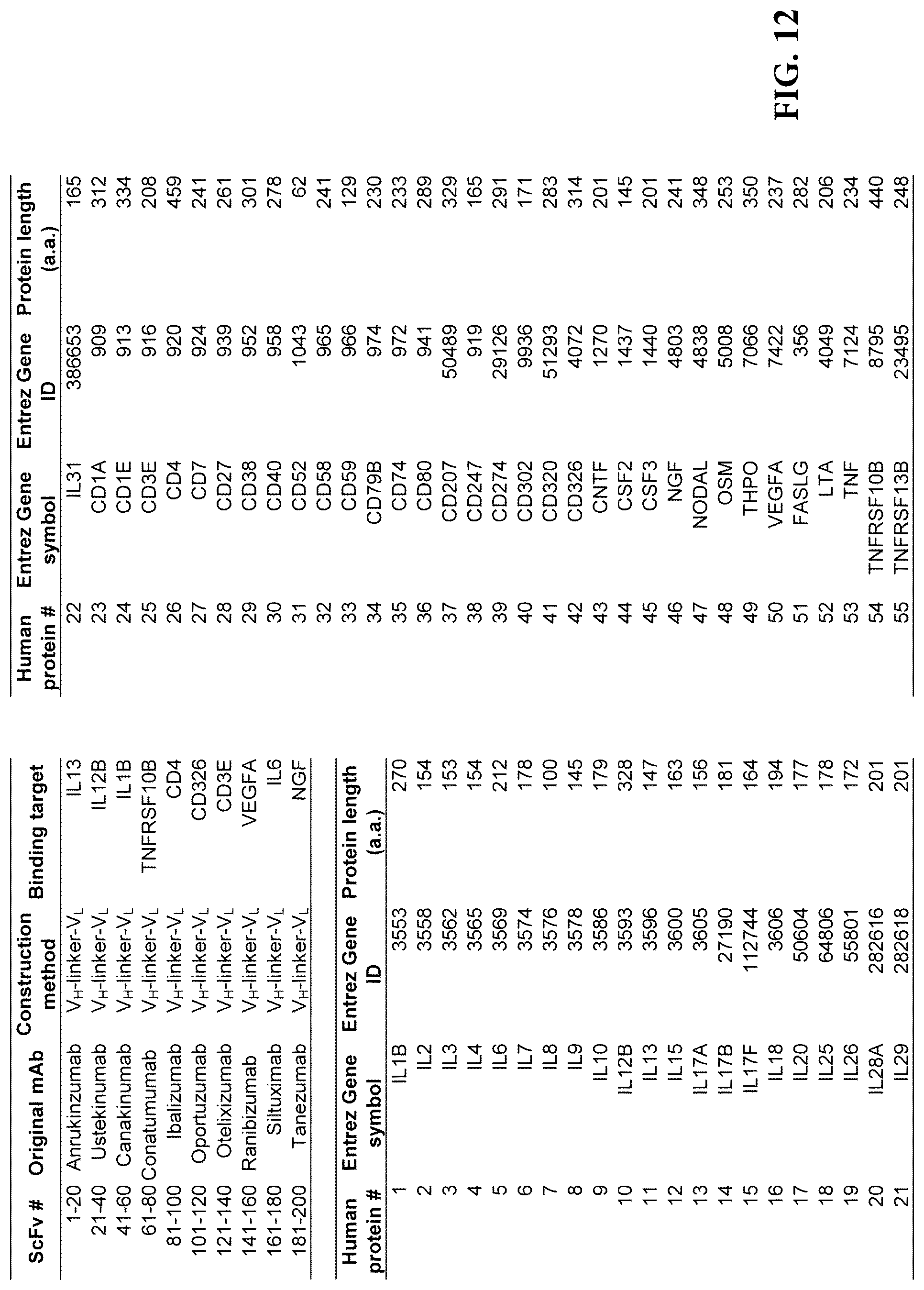 Patent US12305226 Figure 12 – Barcoded protein array for multiplex single-molecule interaction profiling
