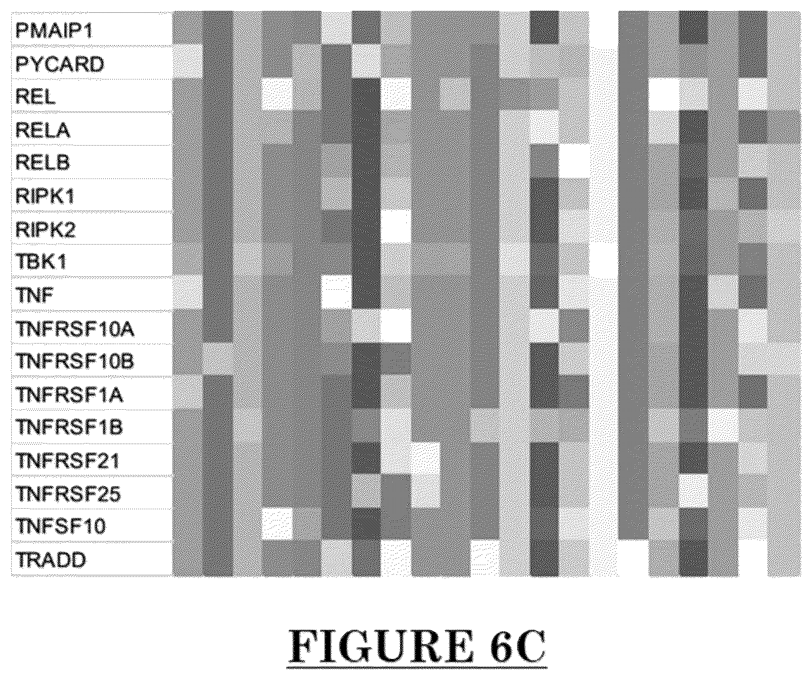 Patent US12305227 Figure 8 – Implantation success as determined by blastocoel fluid components