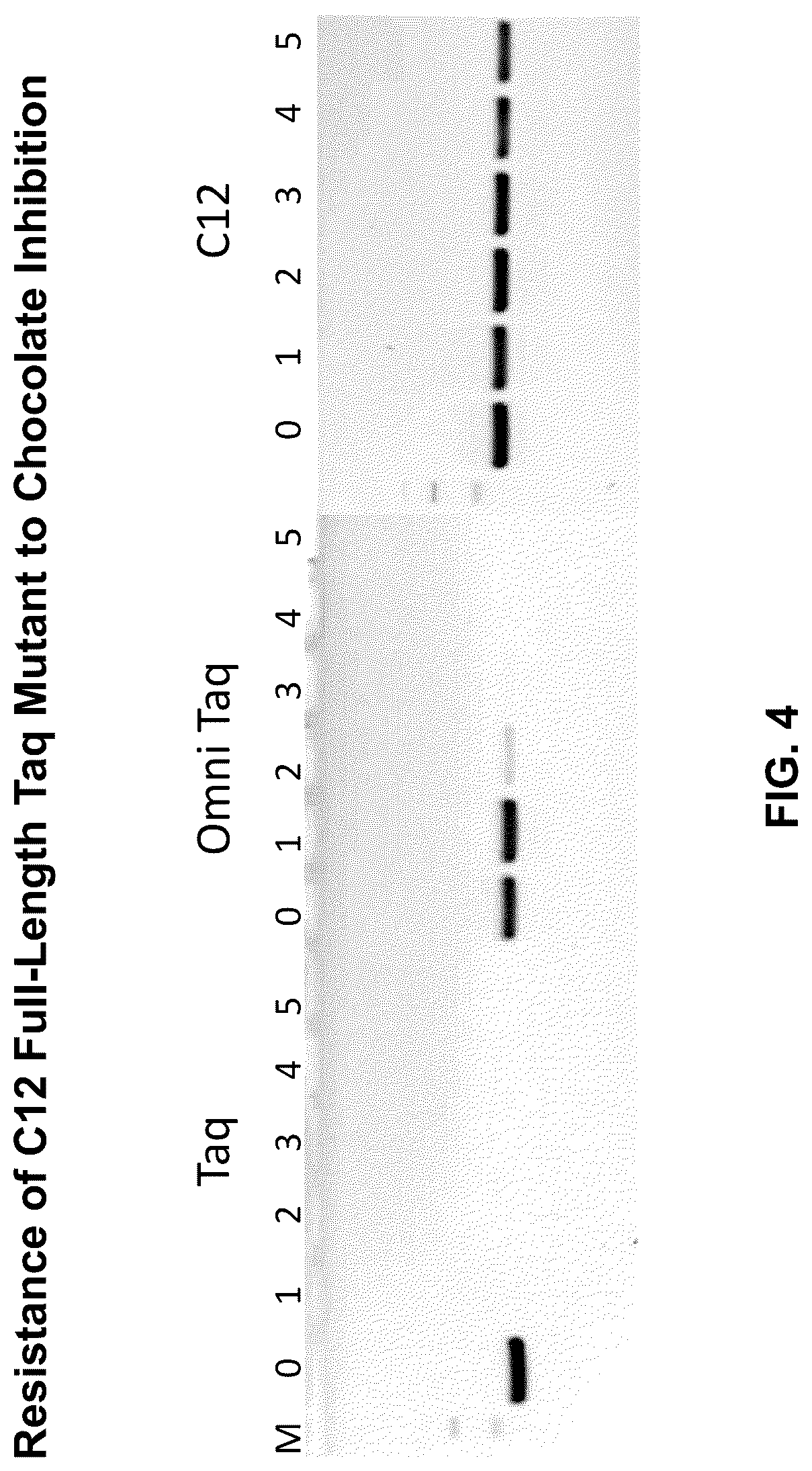 Patent US12305228 Figure 4 – Inhibition-resistant polymerases