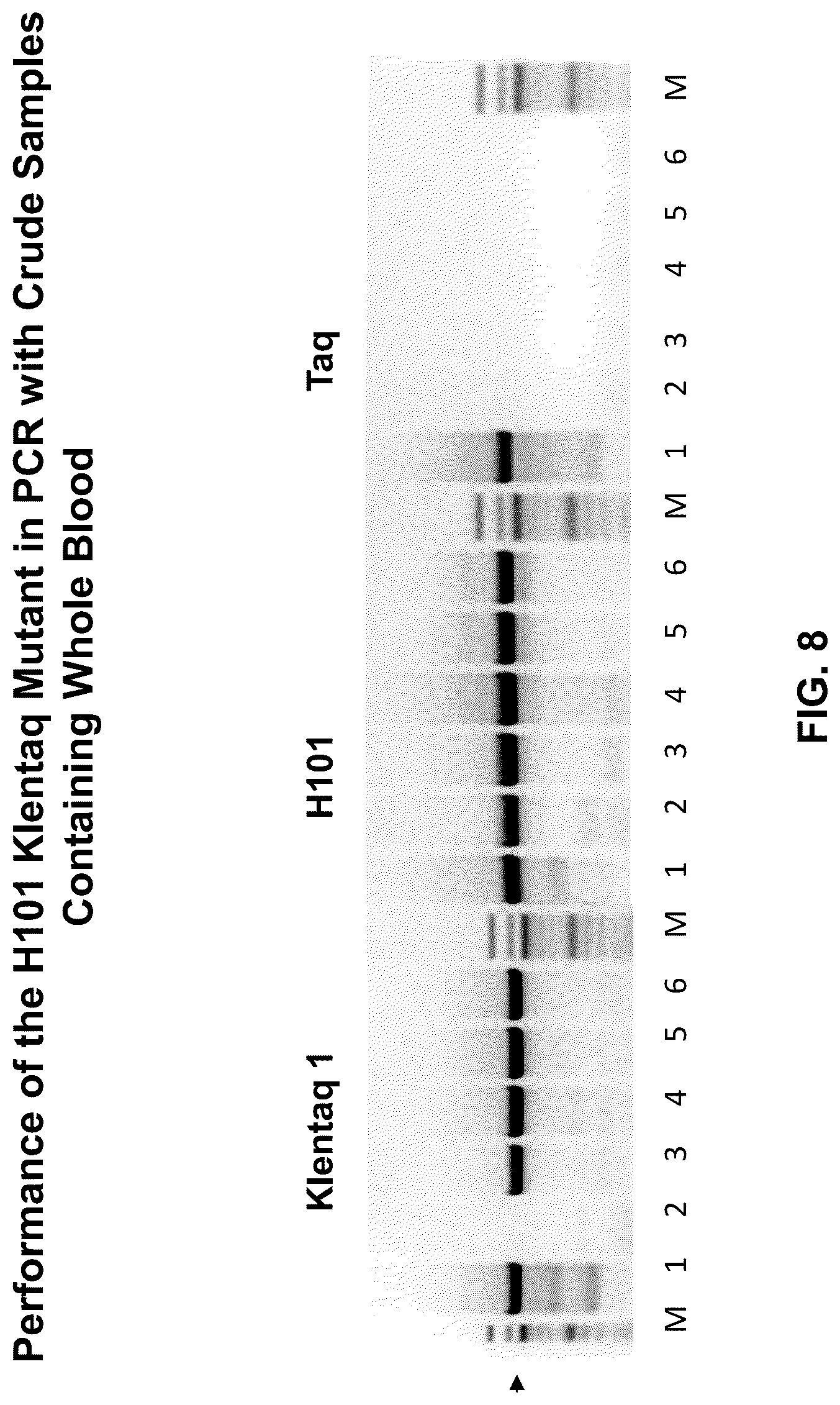 Patent US12305228 Figure 8 – Inhibition-resistant polymerases