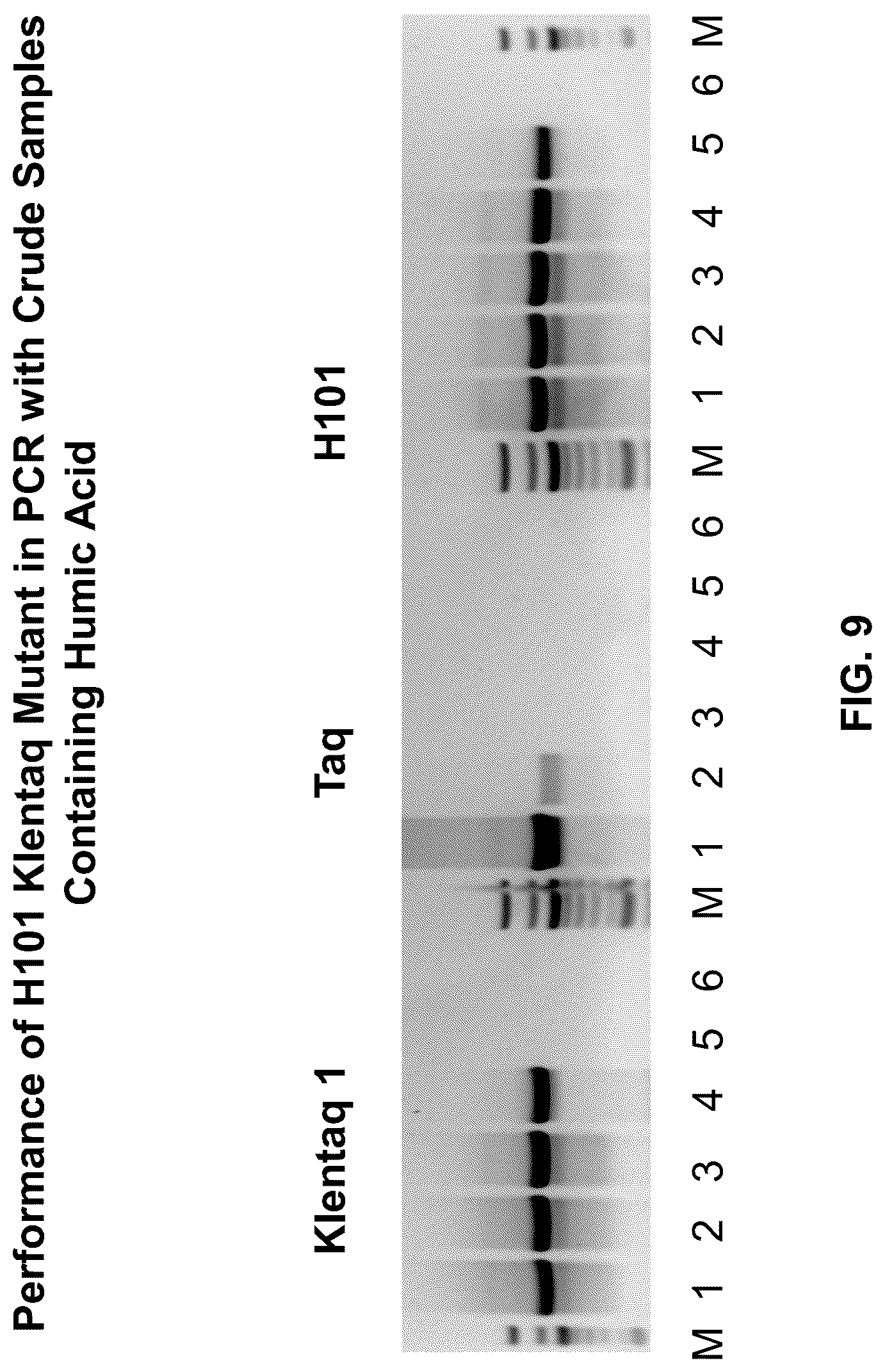 Patent US12305228 Figure 9 – Inhibition-resistant polymerases