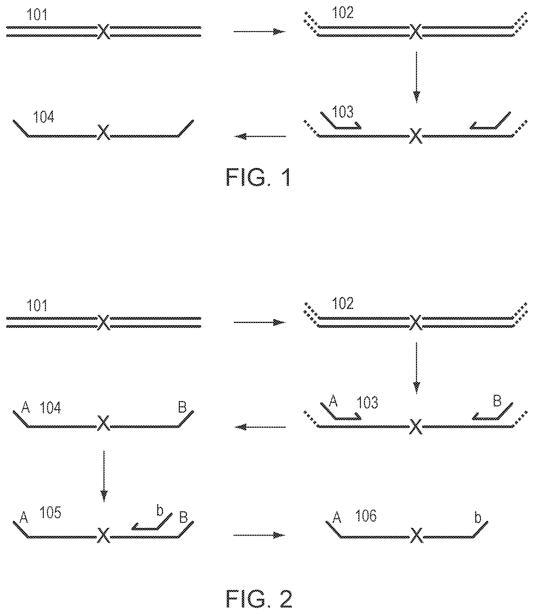 Patent US12305229 Figure 1 – Methods for simultaneous amplification of target loci