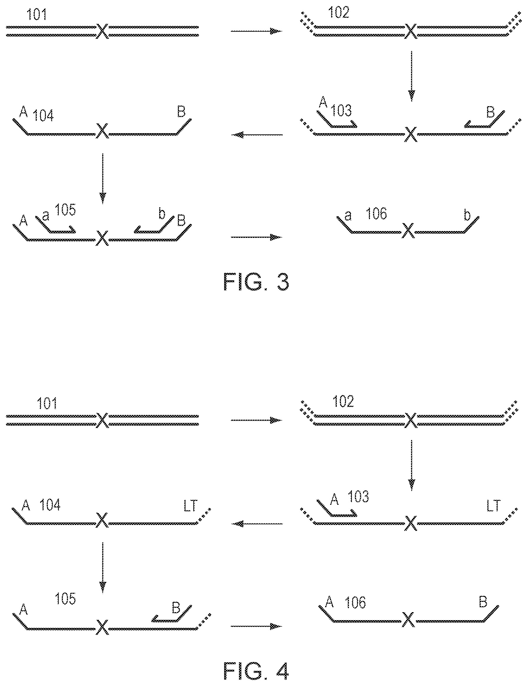 Patent US12305229 Figure 2 – Methods for simultaneous amplification of target loci