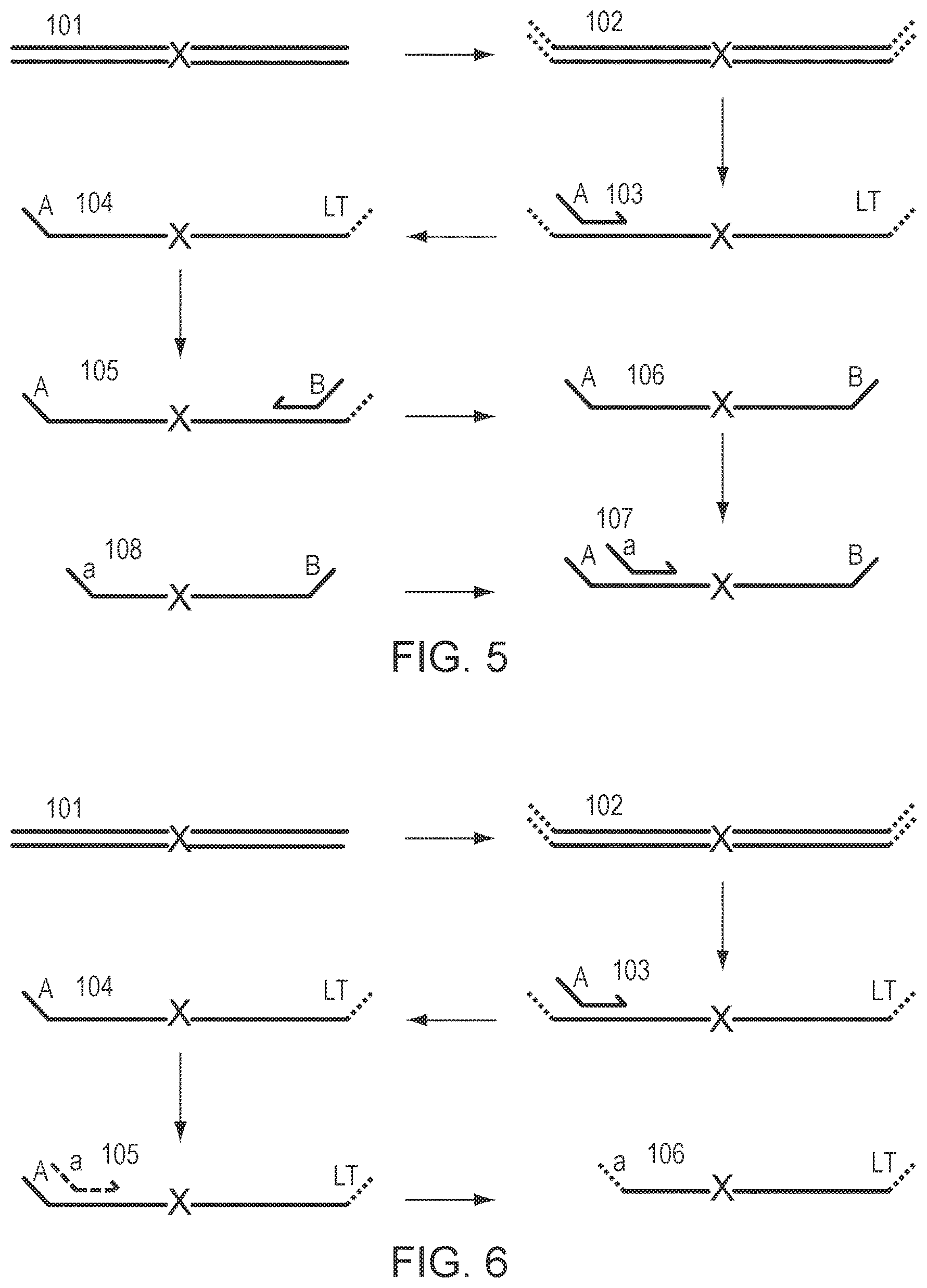 Patent US12305229 Figure 3 – Methods for simultaneous amplification of target loci