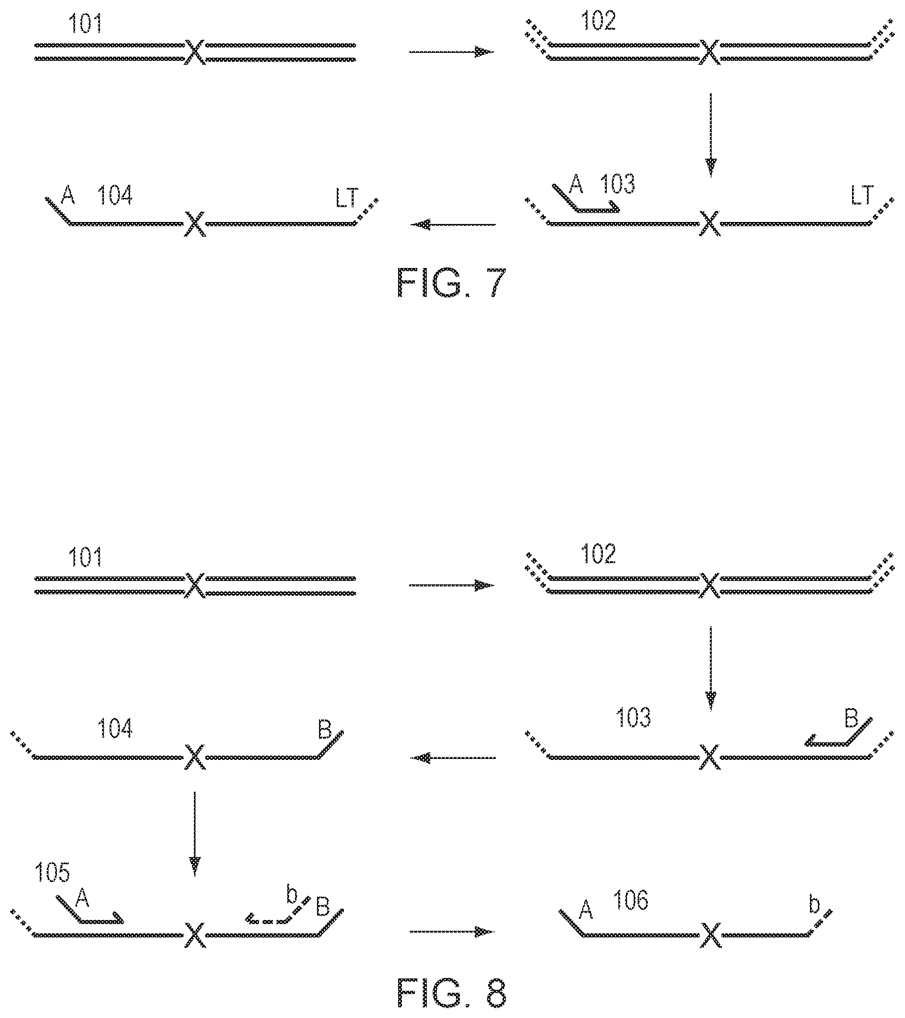 Patent US12305229 Figure 4 – Methods for simultaneous amplification of target loci