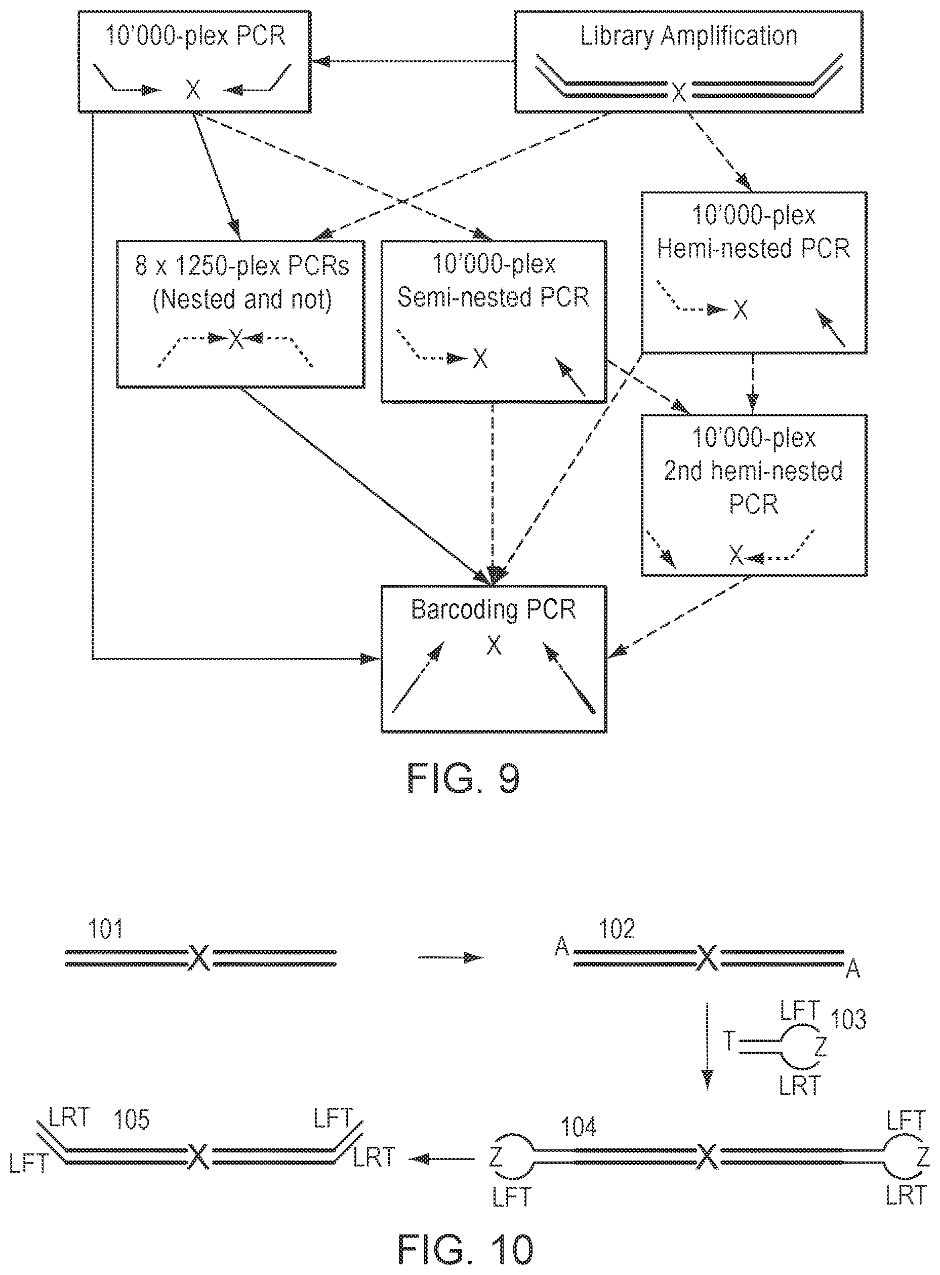 Patent US12305229 Figure 5 – Methods for simultaneous amplification of target loci