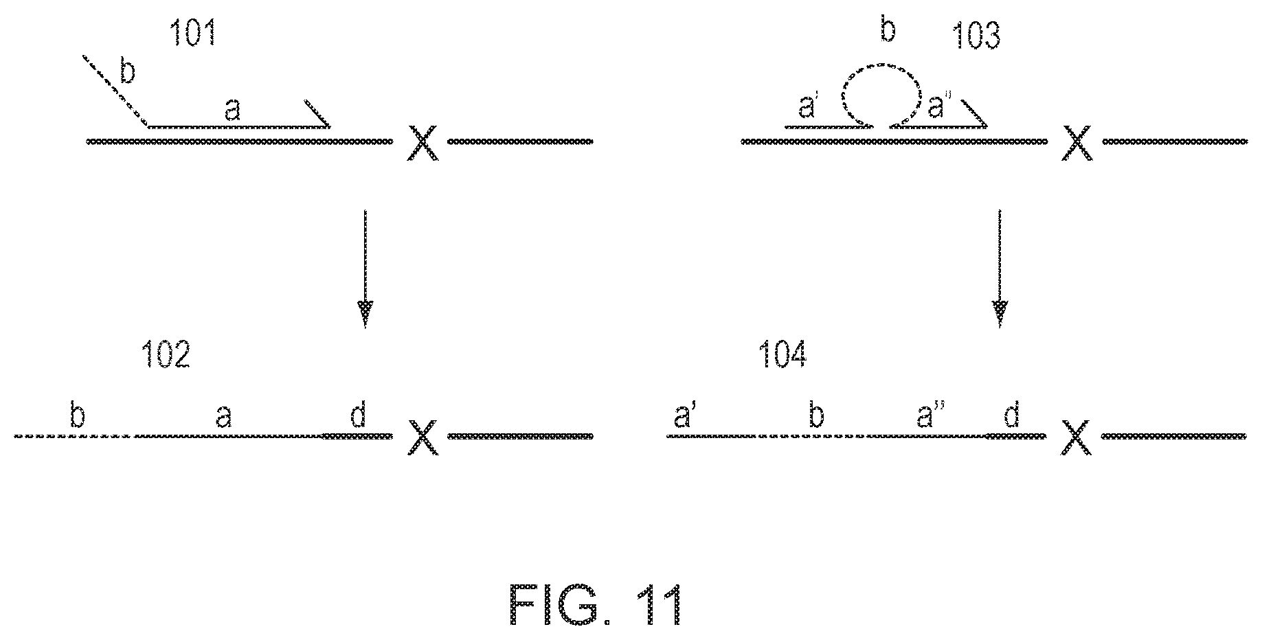 Patent US12305229 Figure 6 – Methods for simultaneous amplification of target loci