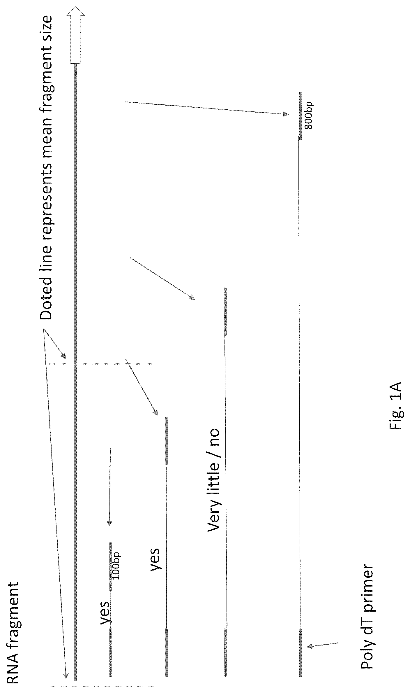 Patent US12305231 Figure 1 – Systems and processes for distinguishing pathogenic and non-pathogenic sequences from specimens