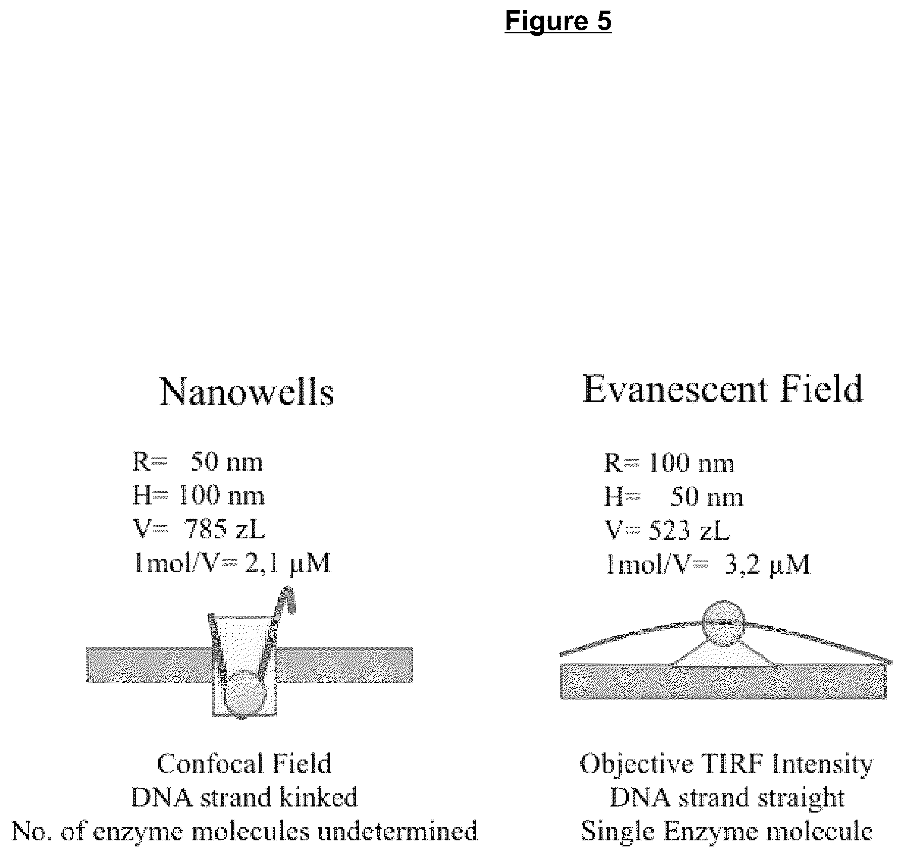 Patent US12305232 Figure 5 – Single molecule analysis with high accuracy