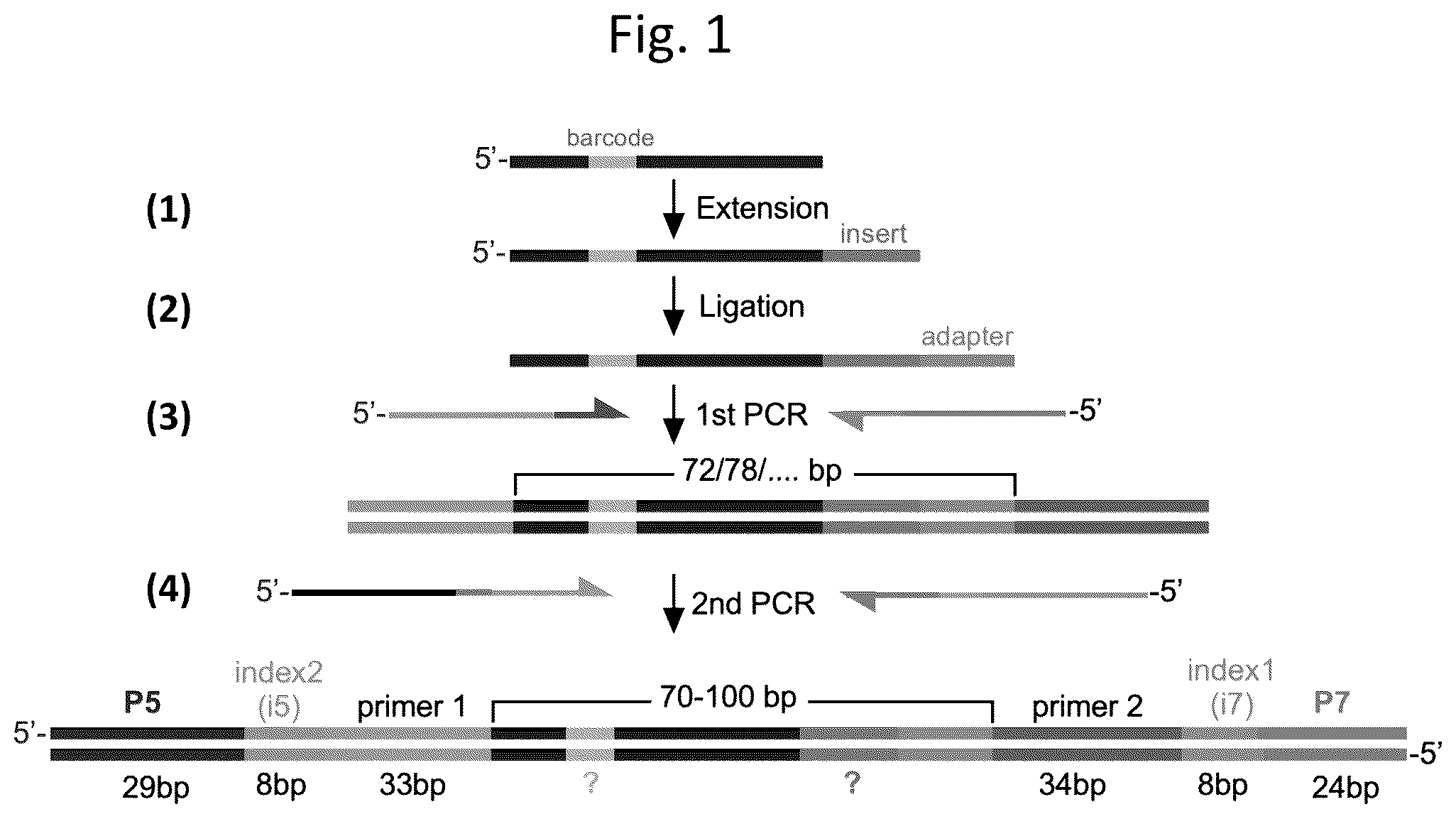Patent US12305233 Figure 1 – Ultra-high-throughput assay for telomerase repeat addition processivity