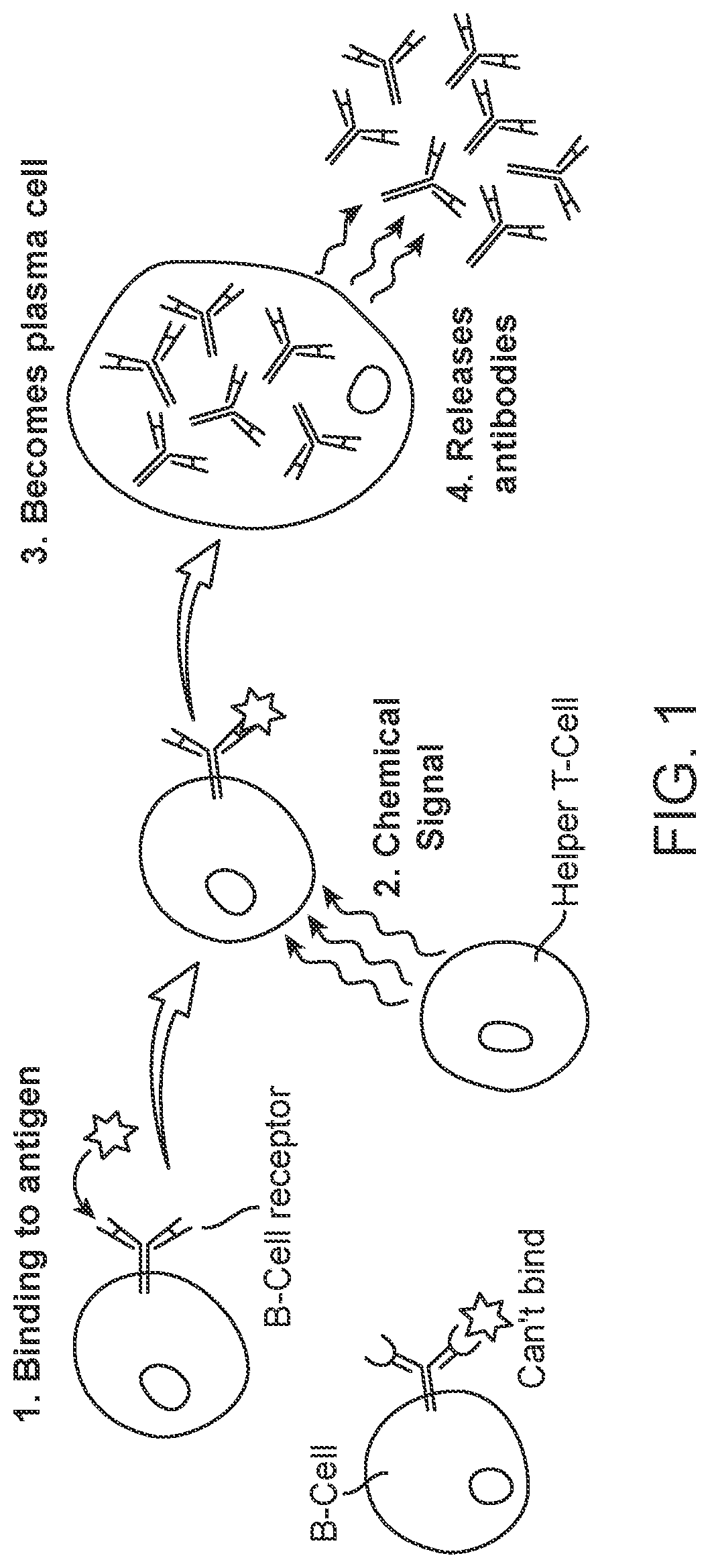 Patent US12305235 Figure 1 – Methods for detecting immune cell DNA and monitoring immune system