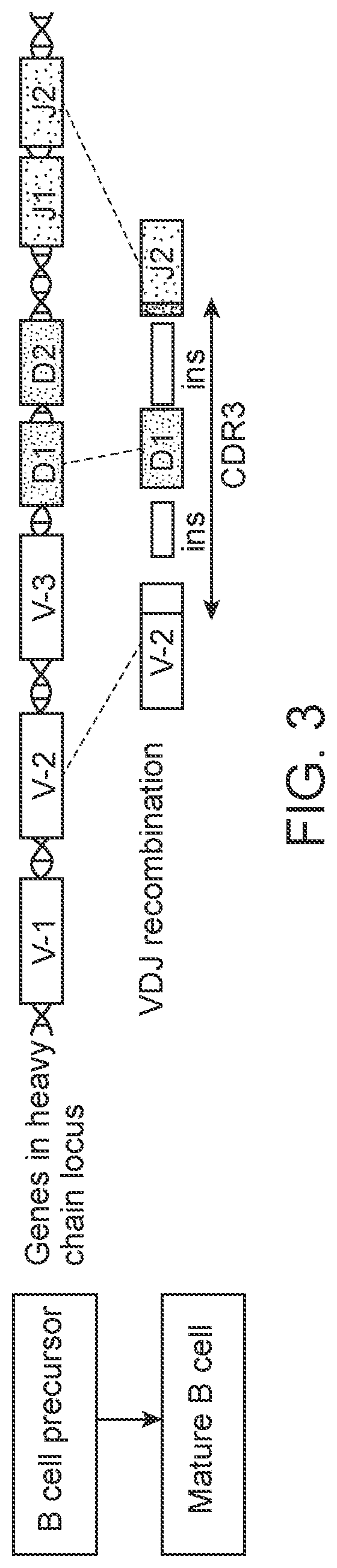 Patent US12305235 Figure 3 – Methods for detecting immune cell DNA and monitoring immune system