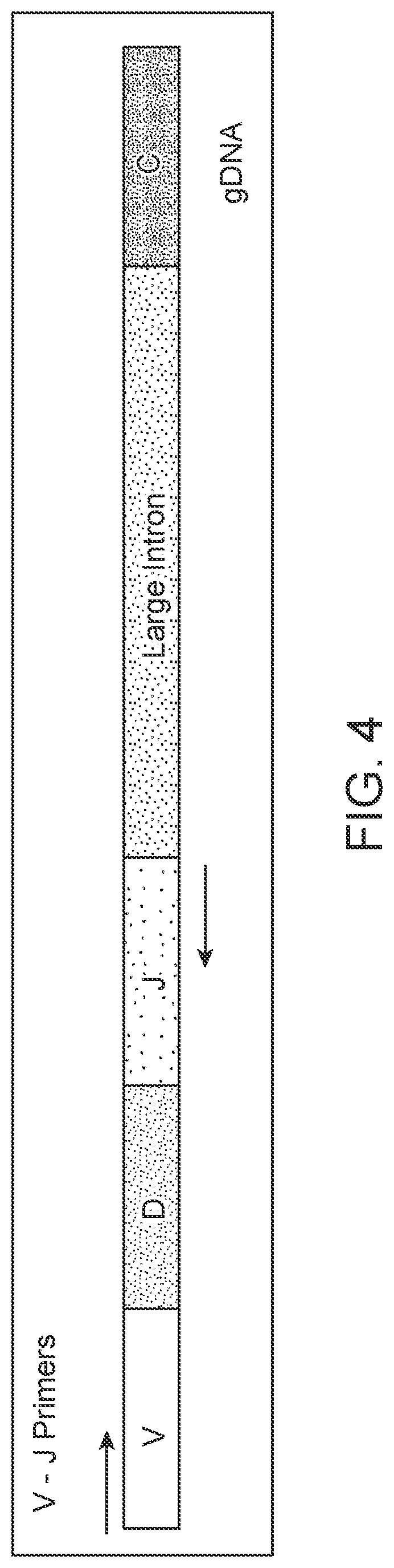 Patent US12305235 Figure 4 – Methods for detecting immune cell DNA and monitoring immune system