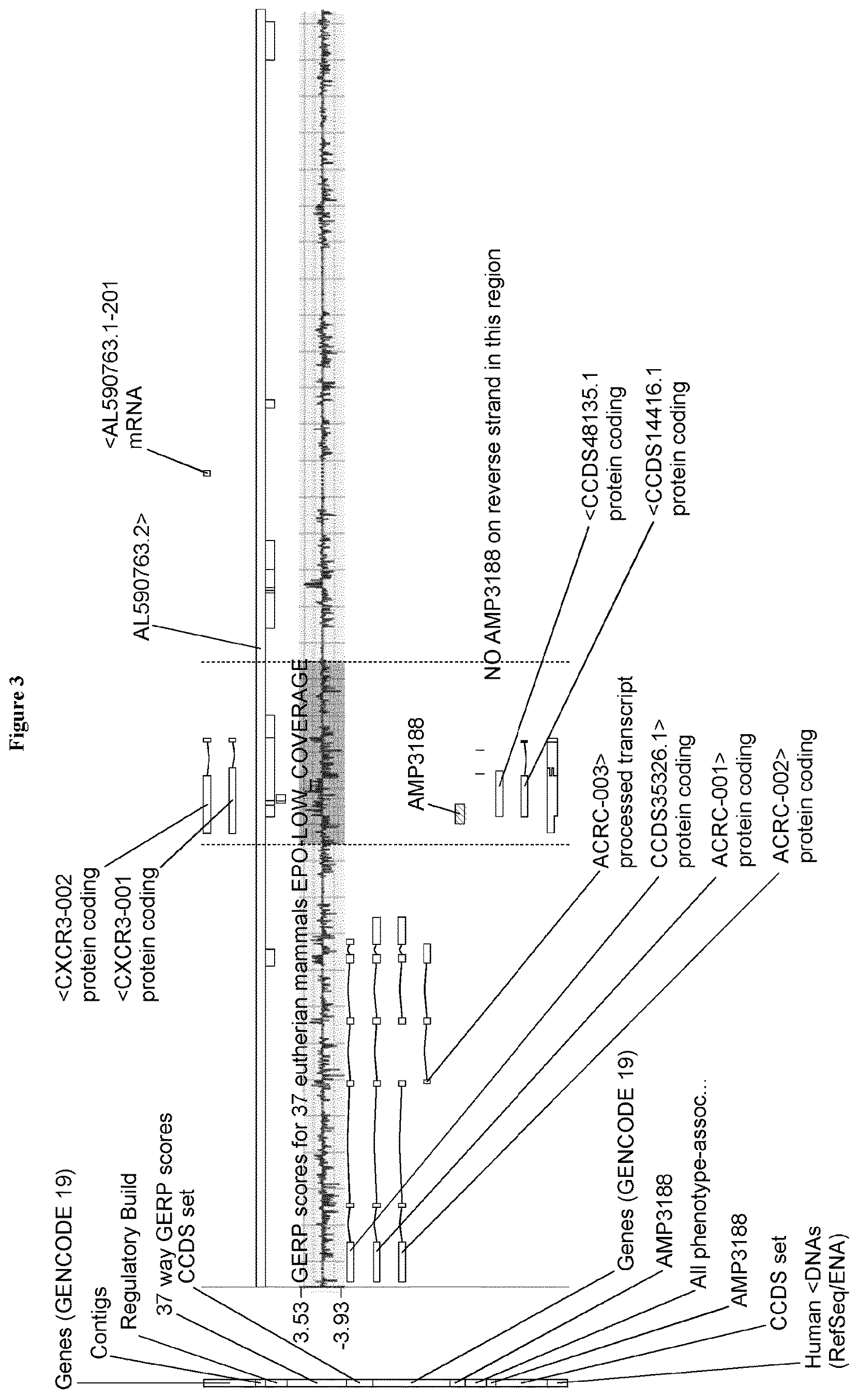 Patent US12305237 Figure 3 – CXCR3 as epigenetic marker for the identification of inflammatory immune cells, in particular CD8+ memory t cells