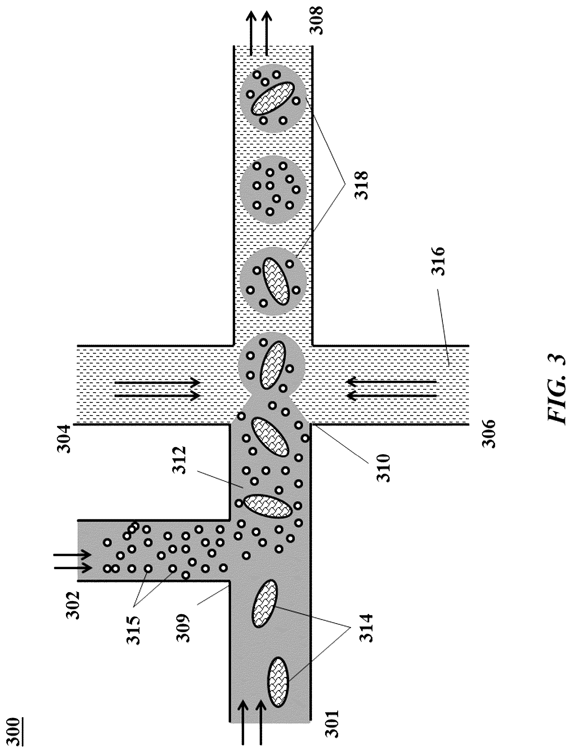 Patent US12305239 Figure 3 – Analysis of nucleic acid sequences