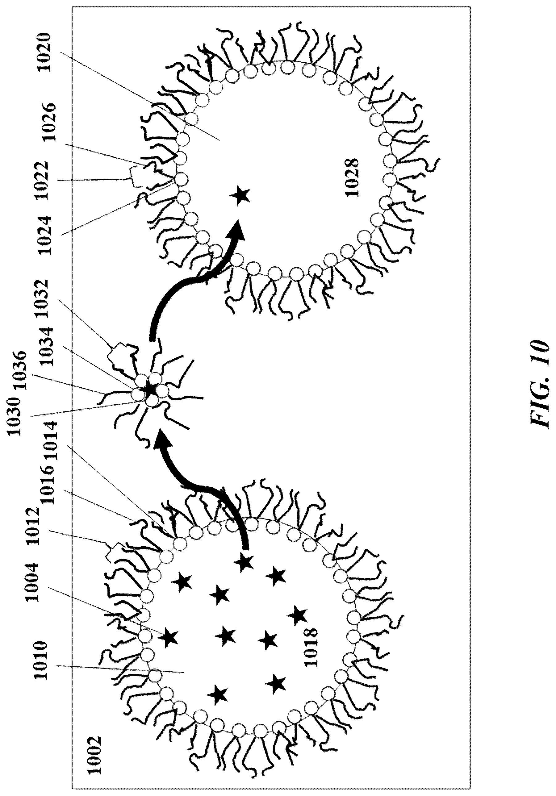 Patent US12305239 Figure 10 – Analysis of nucleic acid sequences