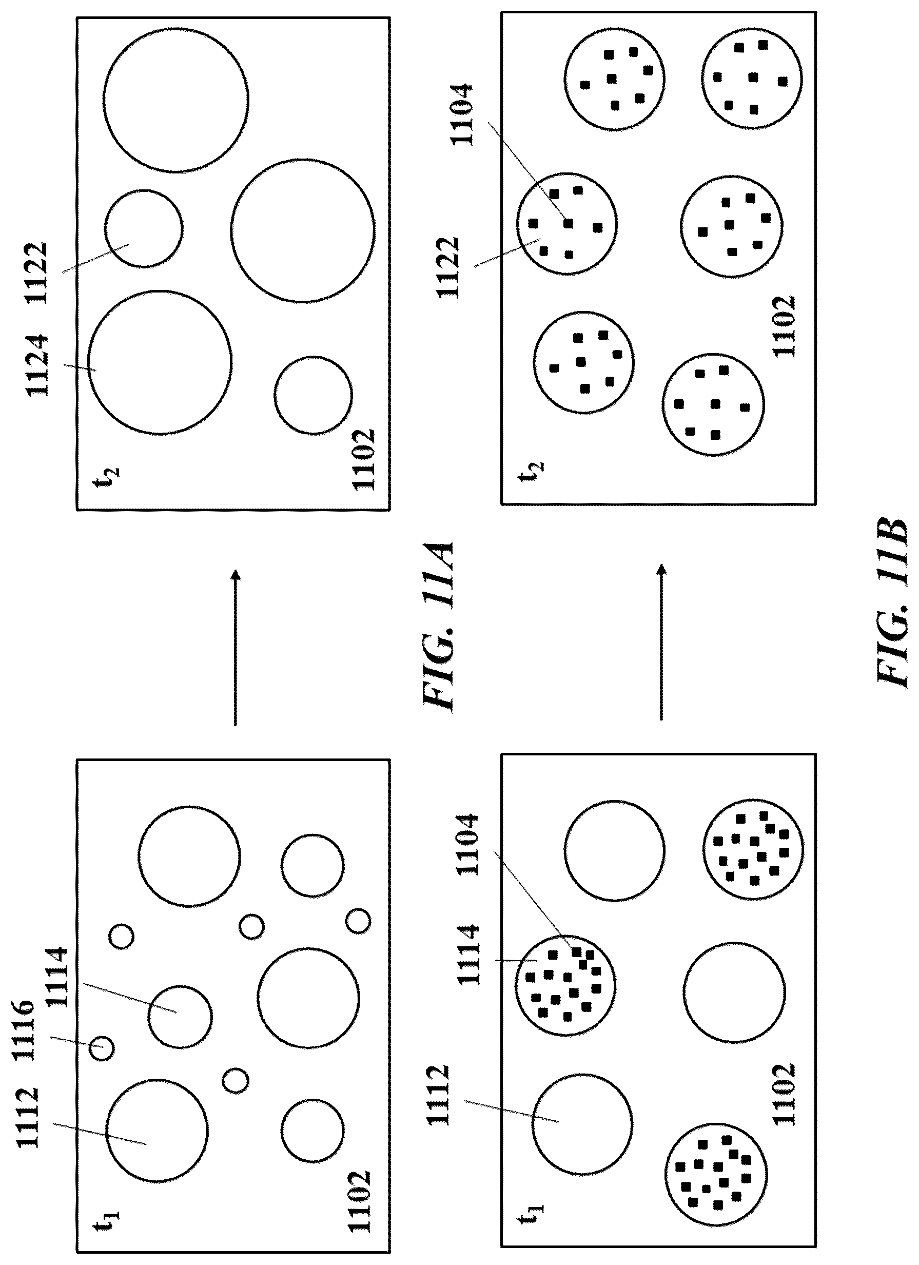 Patent US12305239 Figure 11 – Analysis of nucleic acid sequences