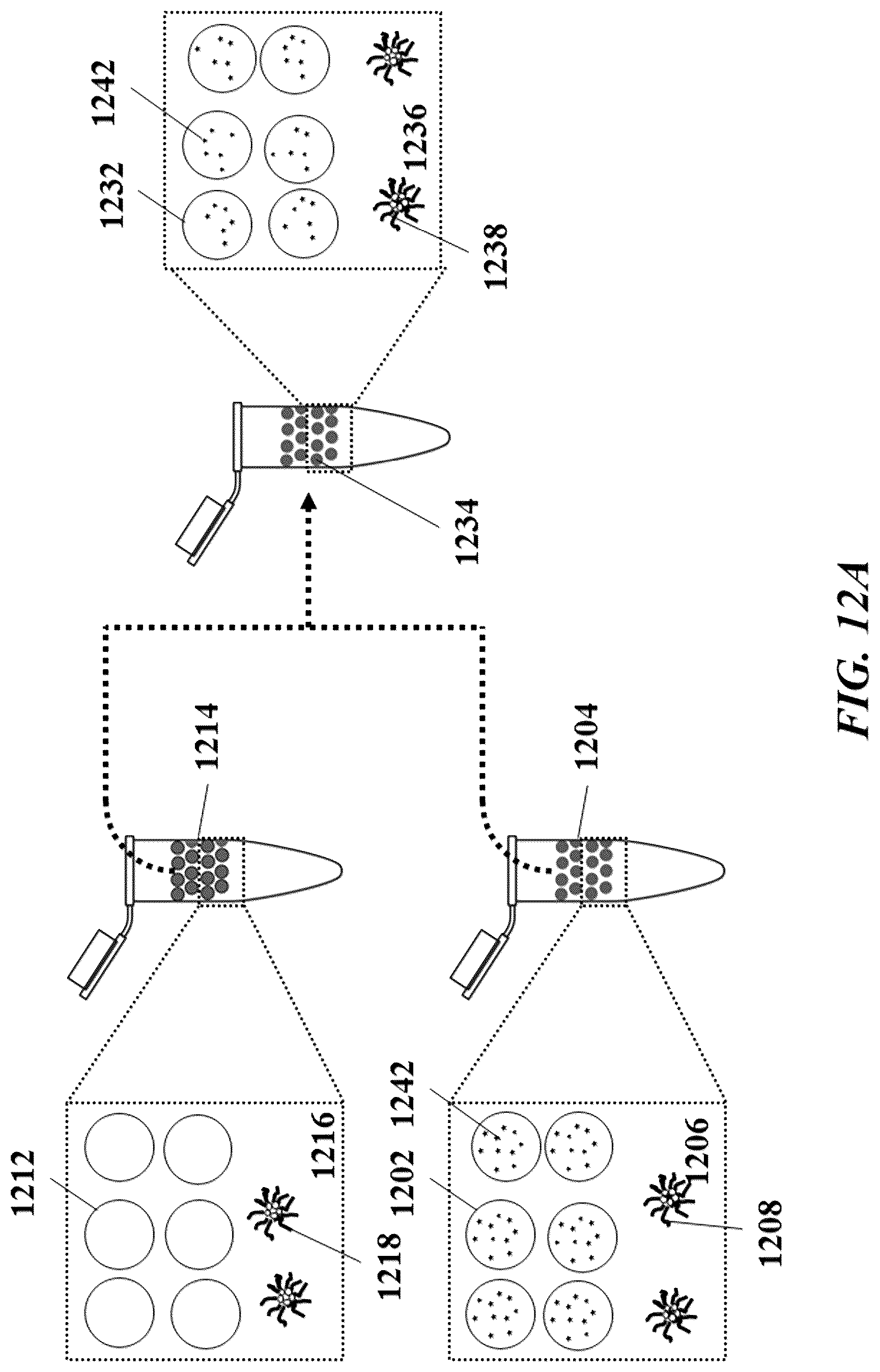Patent US12305239 Figure 12 – Analysis of nucleic acid sequences