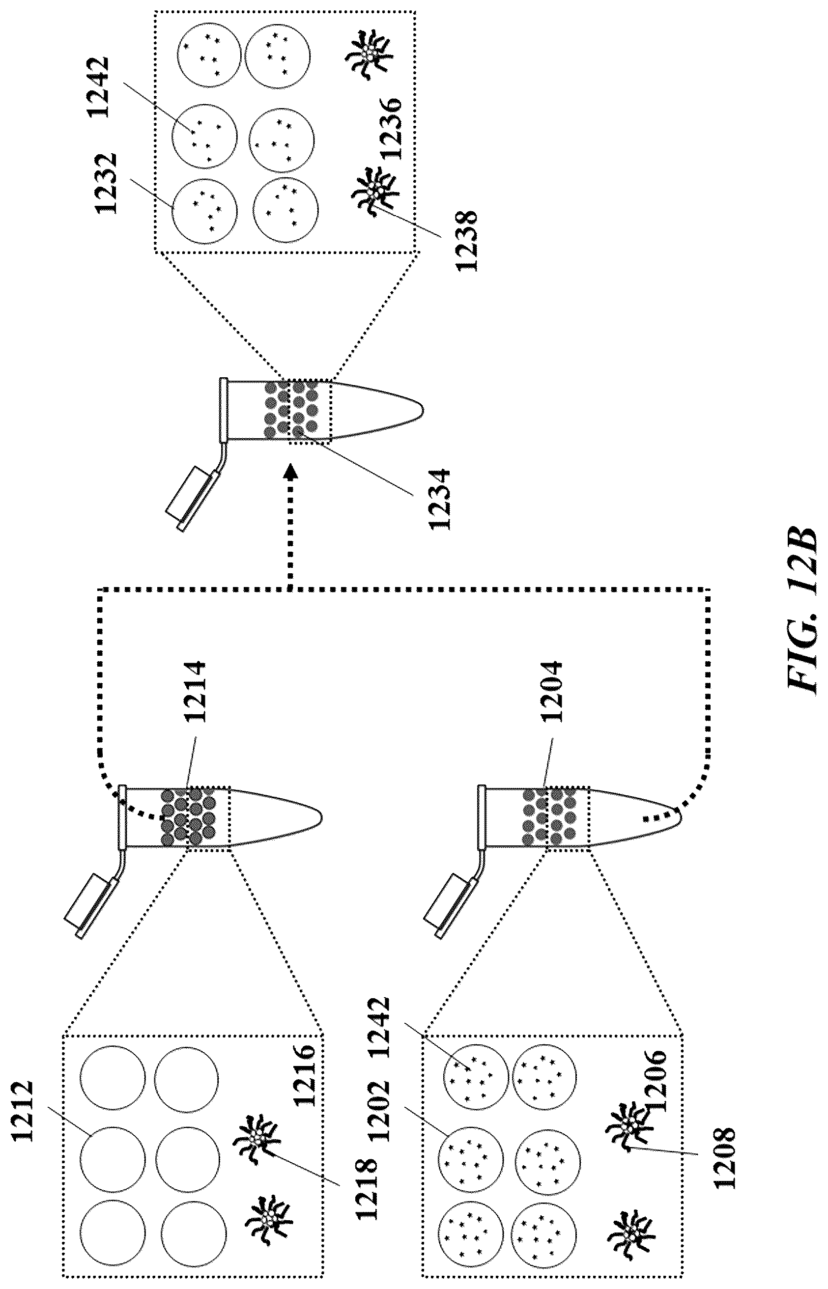 Patent US12305239 Figure 13 – Analysis of nucleic acid sequences