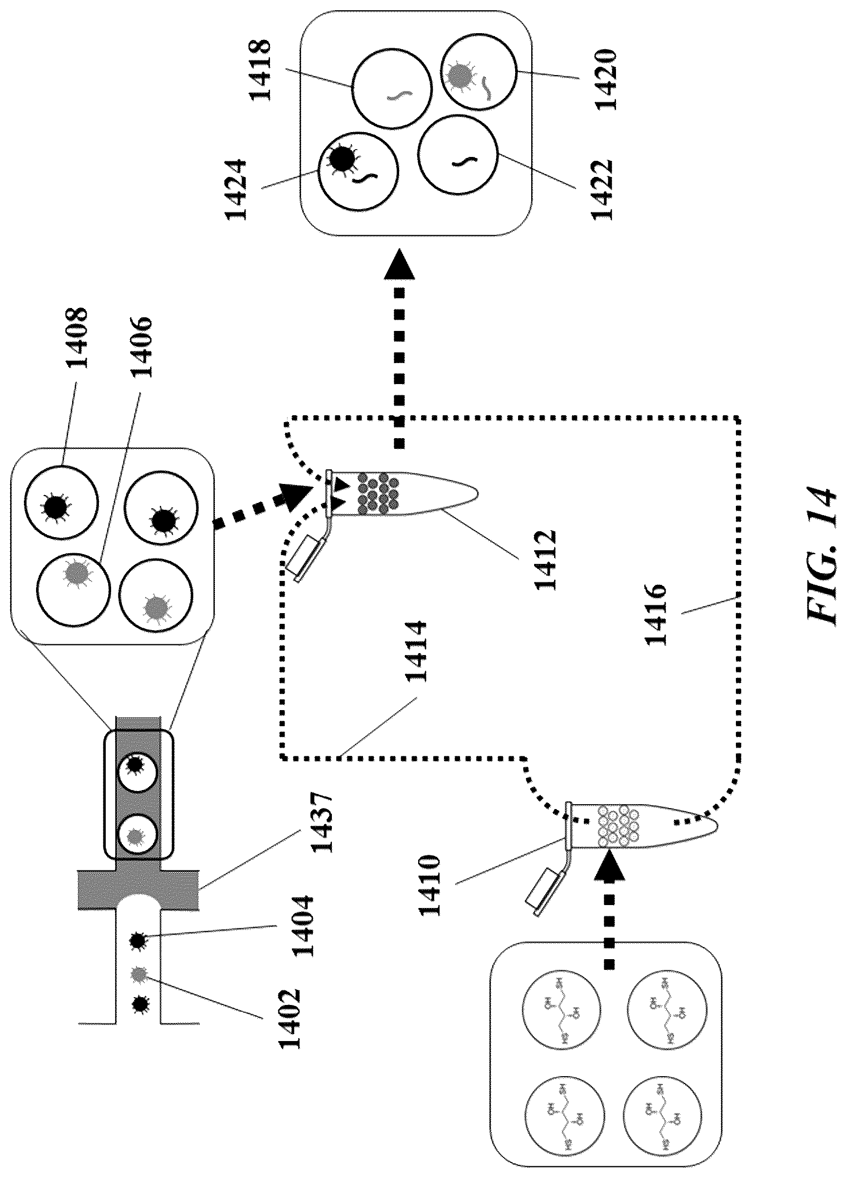 Patent US12305239 Figure 15 – Analysis of nucleic acid sequences