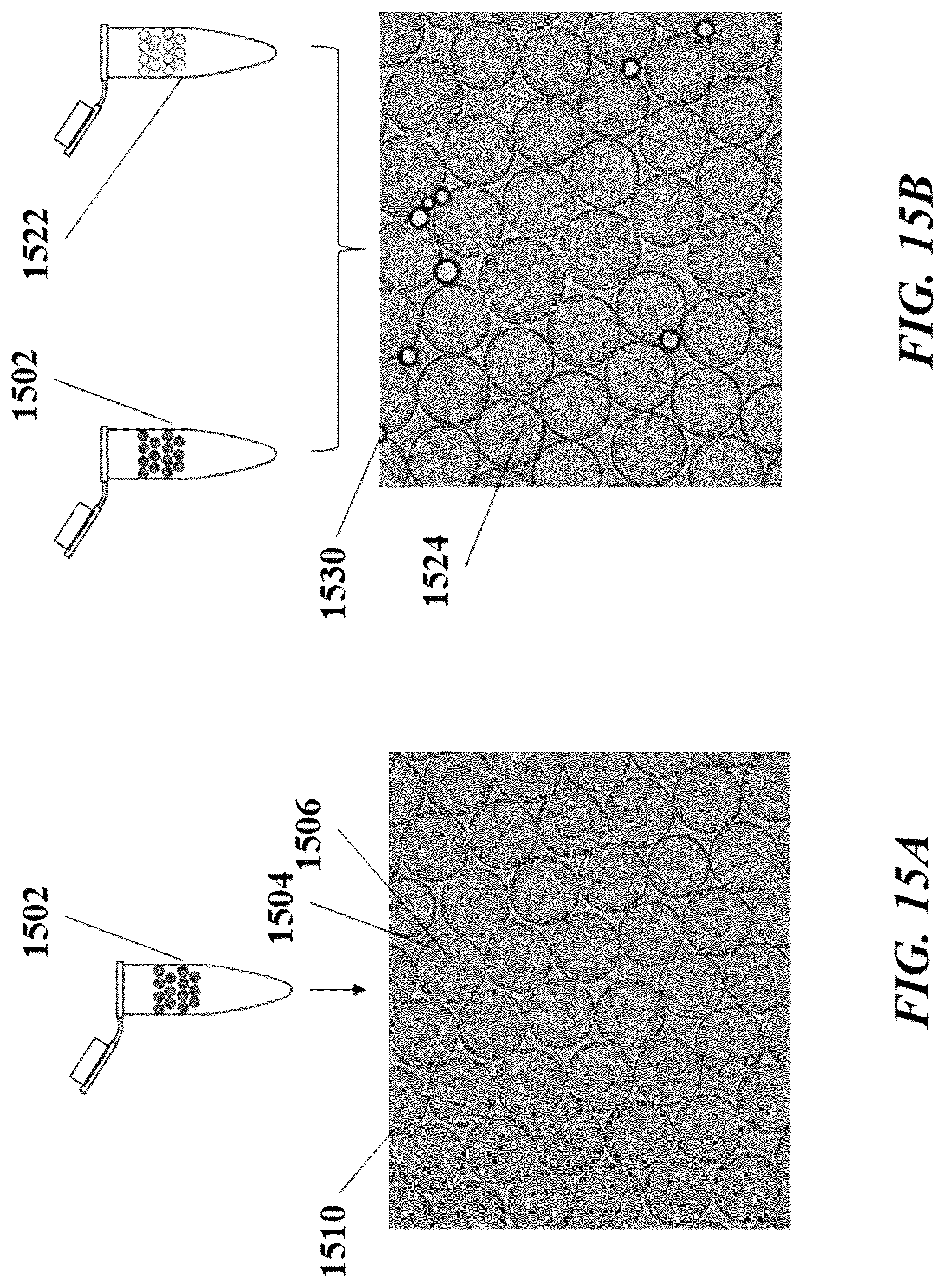 Patent US12305239 Figure 16 – Analysis of nucleic acid sequences
