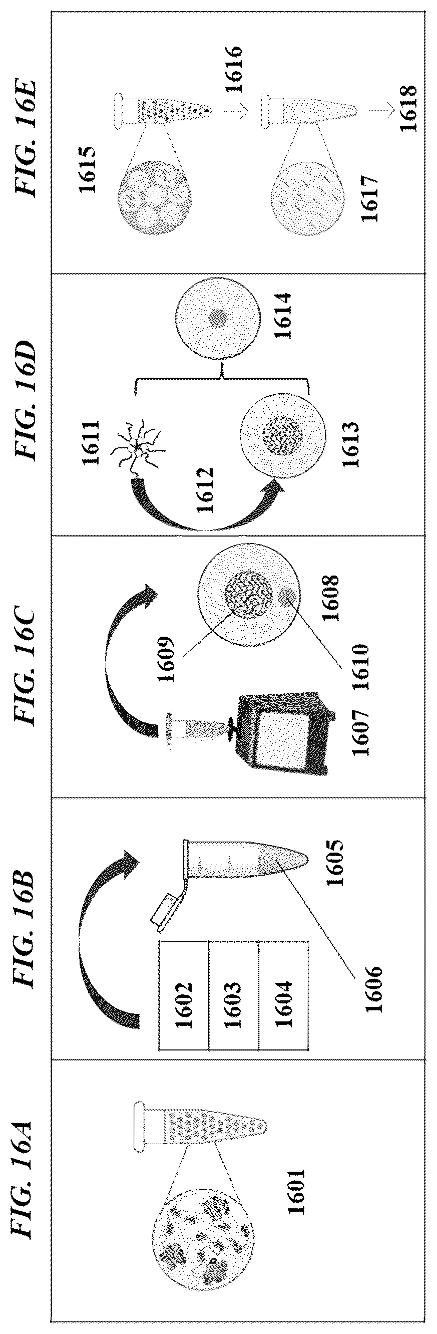 Patent US12305239 Figure 17 – Analysis of nucleic acid sequences