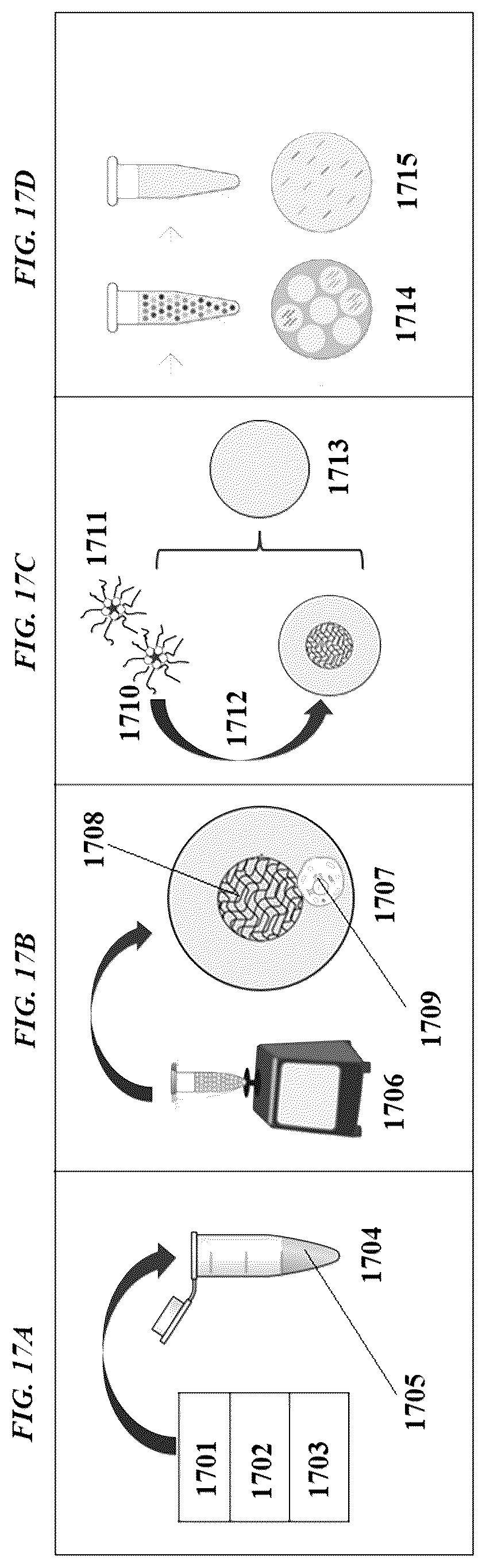 Patent US12305239 Figure 18 – Analysis of nucleic acid sequences