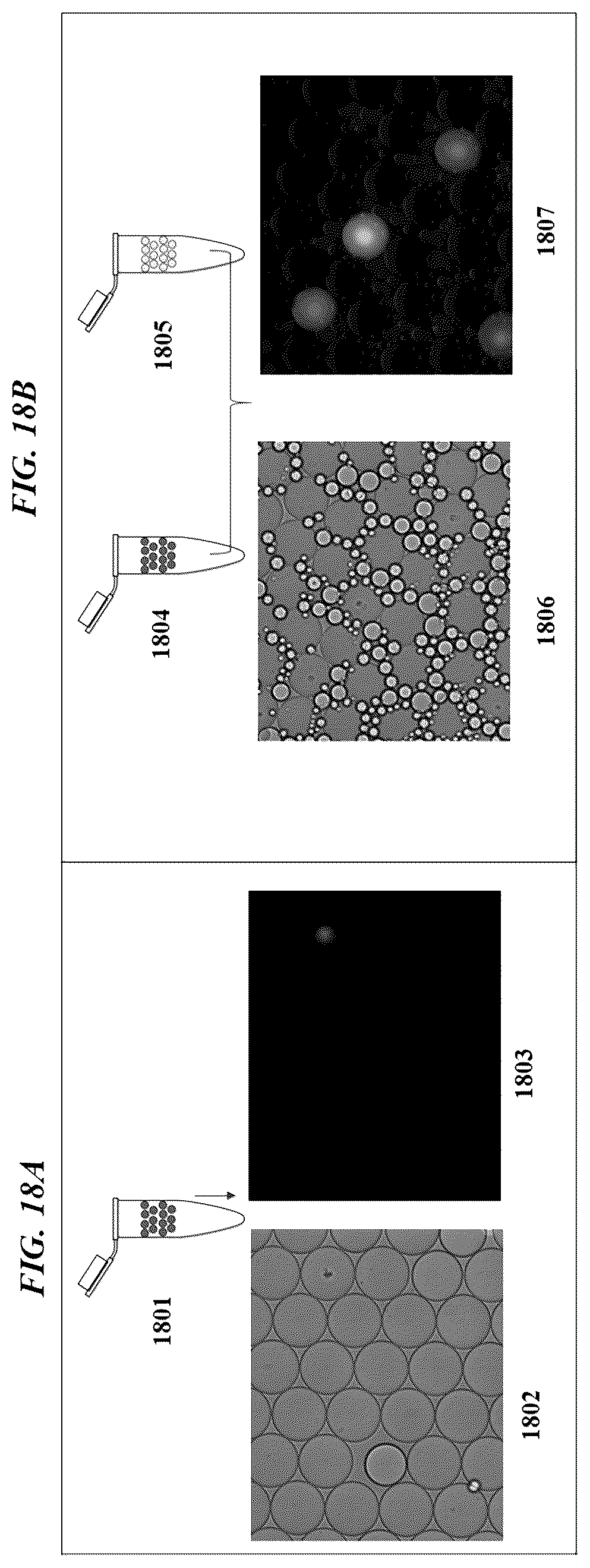 Patent US12305239 Figure 19 – Analysis of nucleic acid sequences