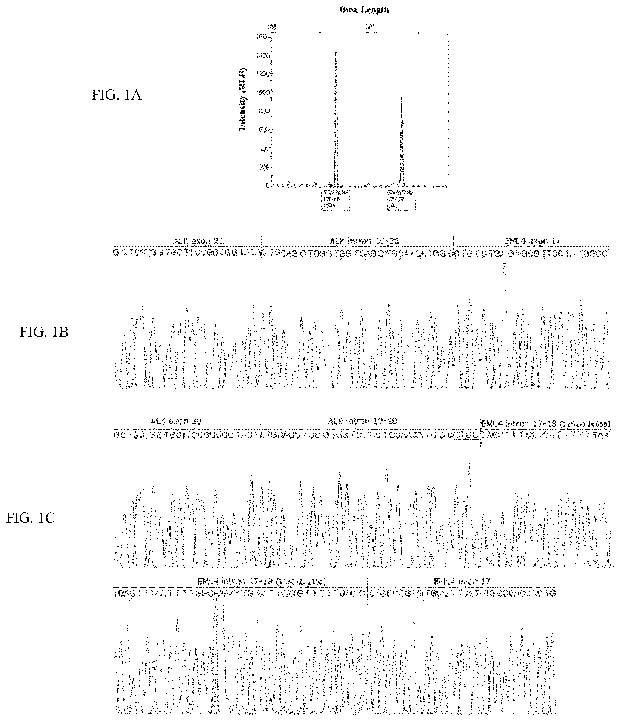 Patent US12305241 Figure 1 – EML4-ALK translocations in lung cancer