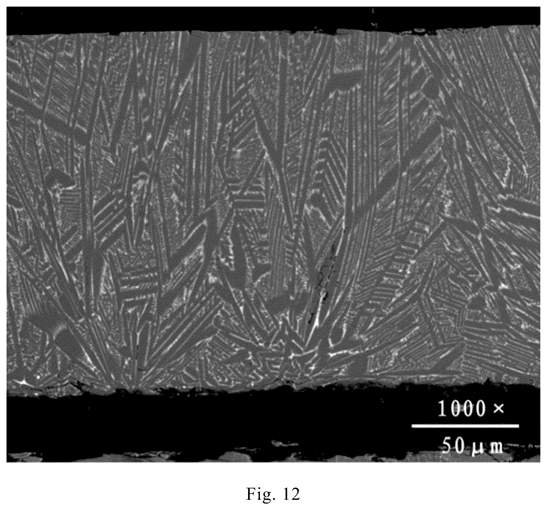 Patent US12305265 Figure 9 – Fine grain rare earth alloy cast strip, preparation method thereof, and a rotary cooling roll device