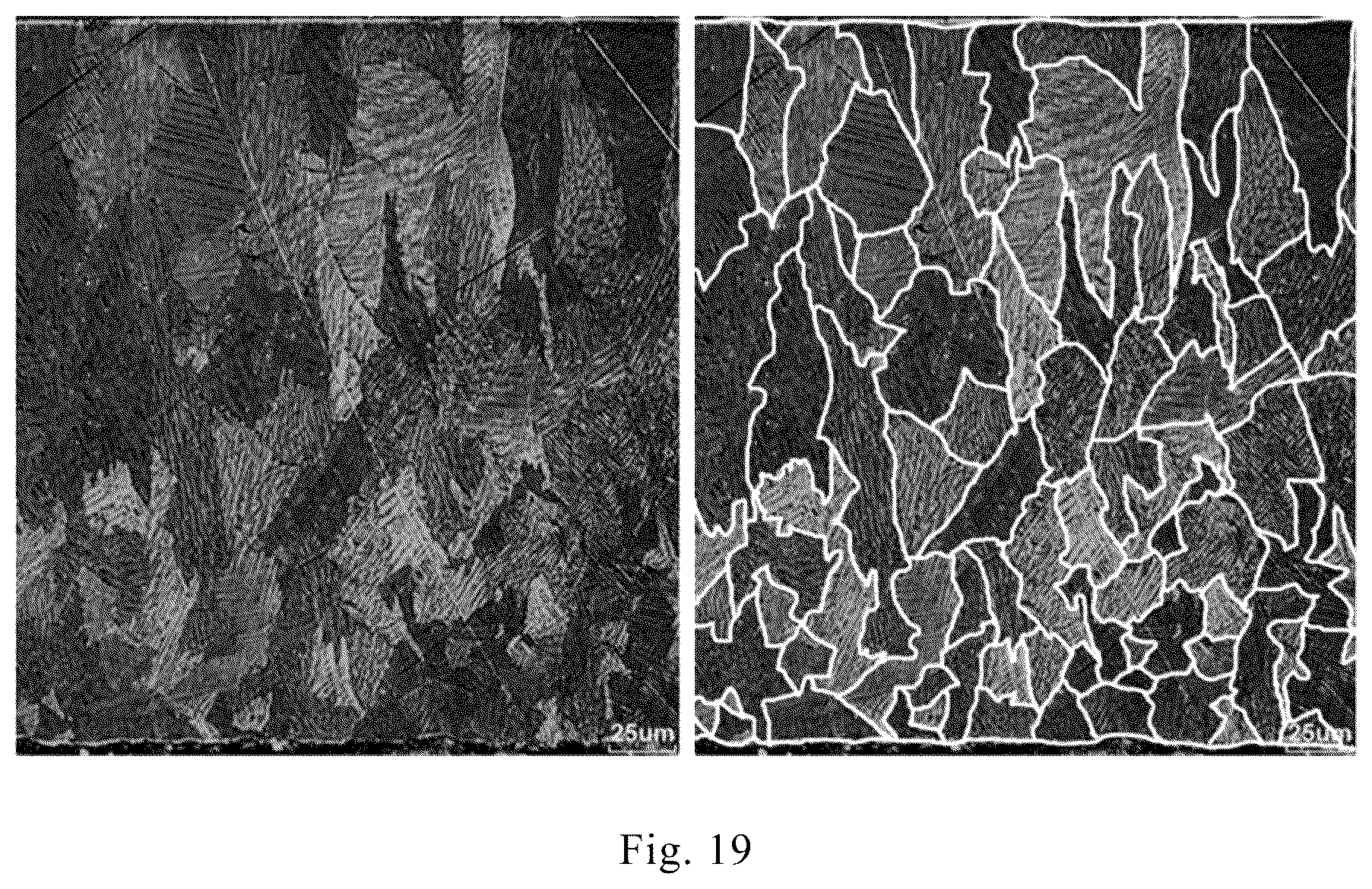 Patent US12305265 Figure 14 – Fine grain rare earth alloy cast strip, preparation method thereof, and a rotary cooling roll device