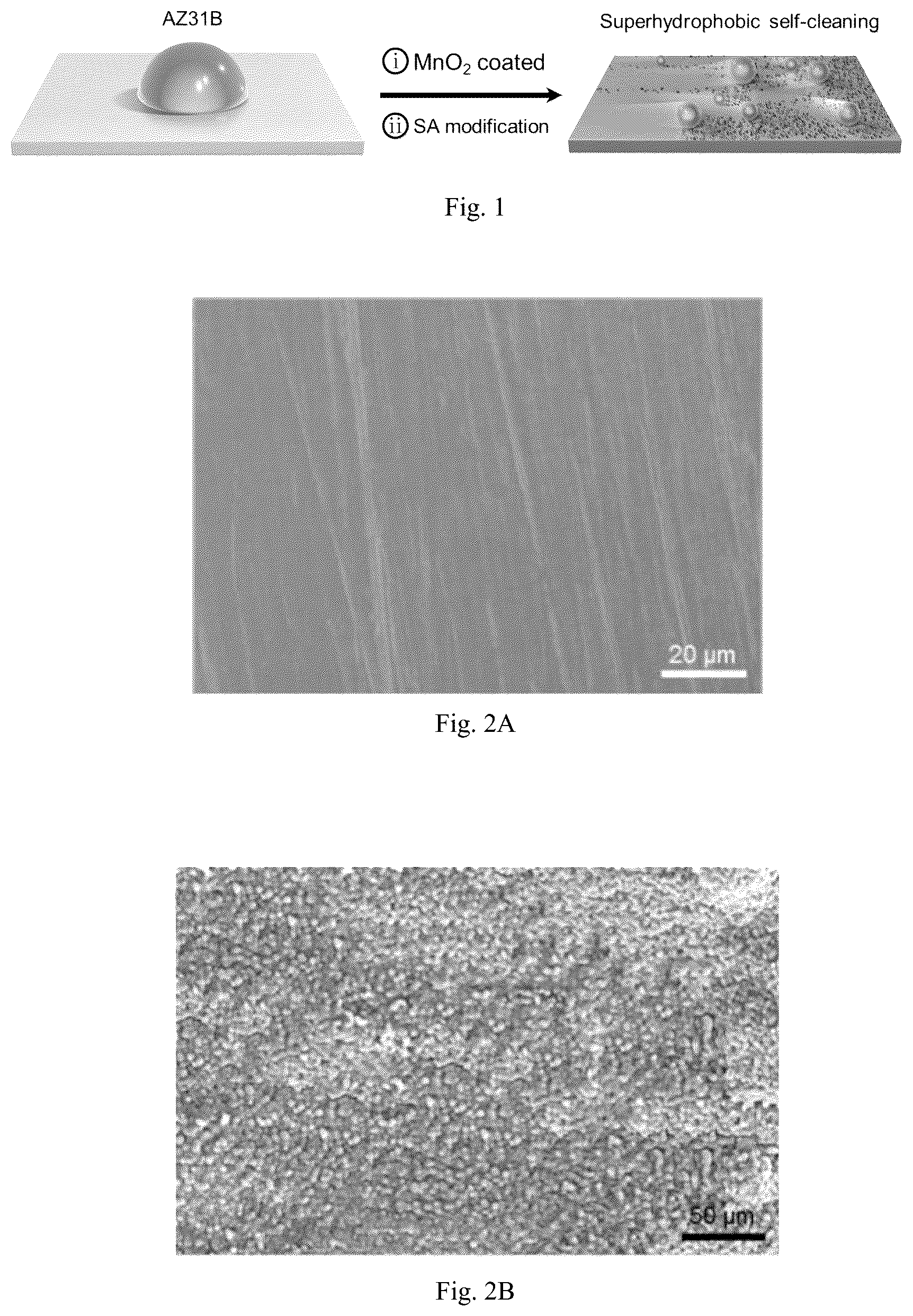 Patent US12305291 Figure 1 – Super-hydrophobic manganese dioxide coating on metallic material surfaces