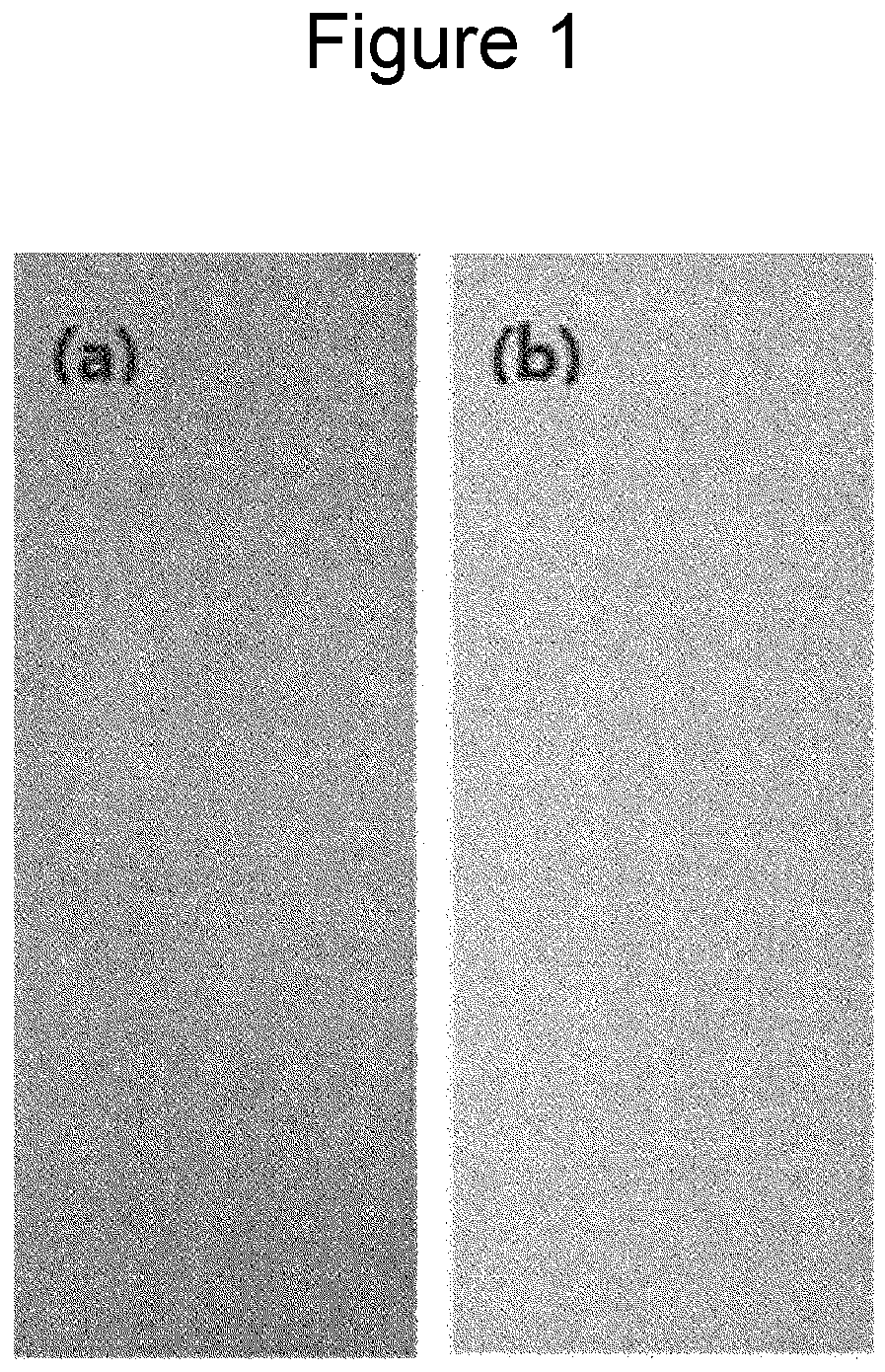 Patent US12305294 Figure 1 – Composition for surface treatment of Mg-containing galvanized steel sheet and Mg-containing galvanized steel sheet surface-treated using same