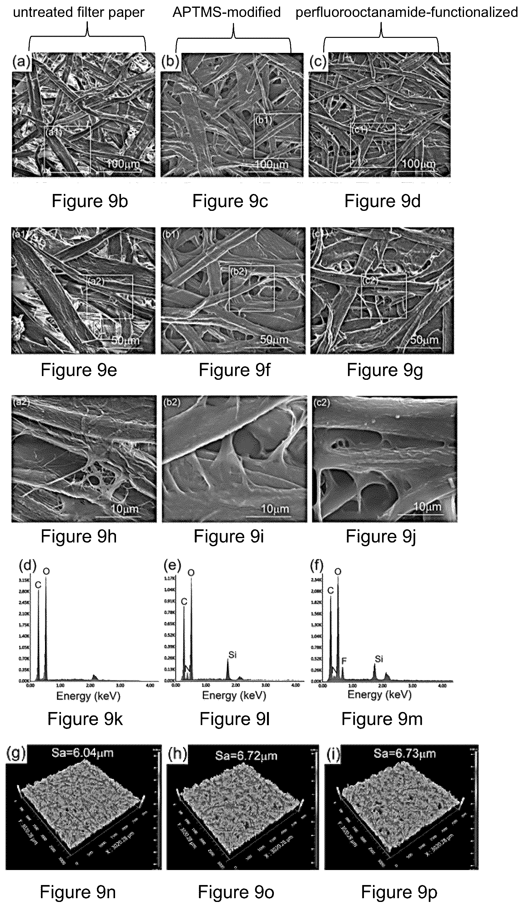 Patent US12305333 Figure 10 – Method of surface chemical functionalization for developing of functional hydrophobic surfaces