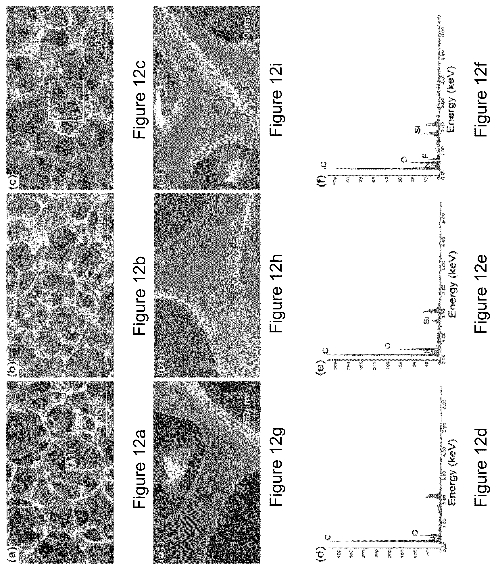 Patent US12305333 Figure 14 – Method of surface chemical functionalization for developing of functional hydrophobic surfaces
