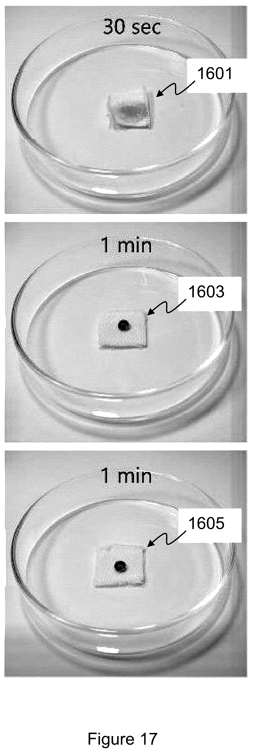 Patent US12305333 Figure 19 – Method of surface chemical functionalization for developing of functional hydrophobic surfaces
