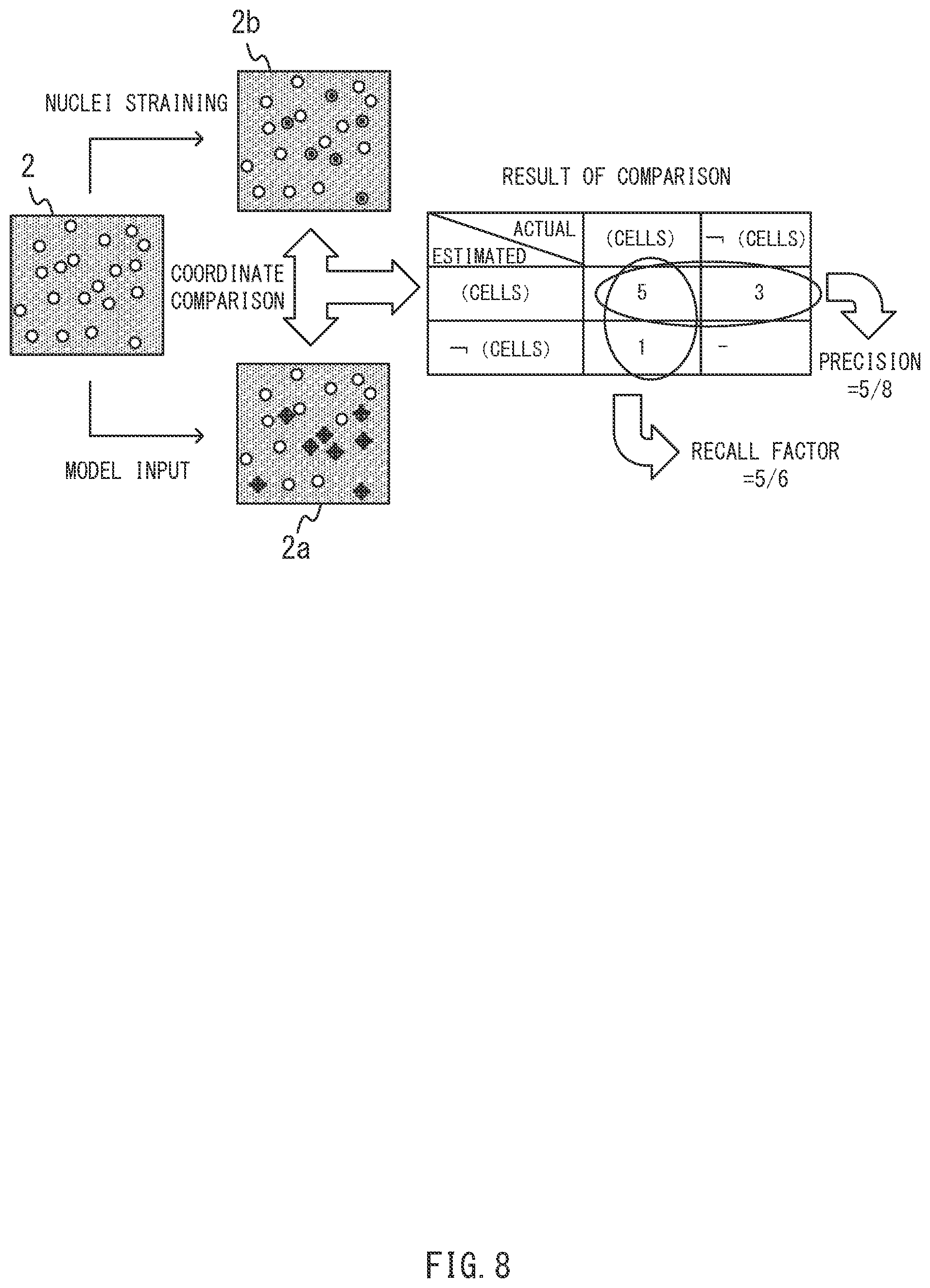 Patent US12306086 Figure 8 – Method for displaying cell count information, system, and computer-readable medium