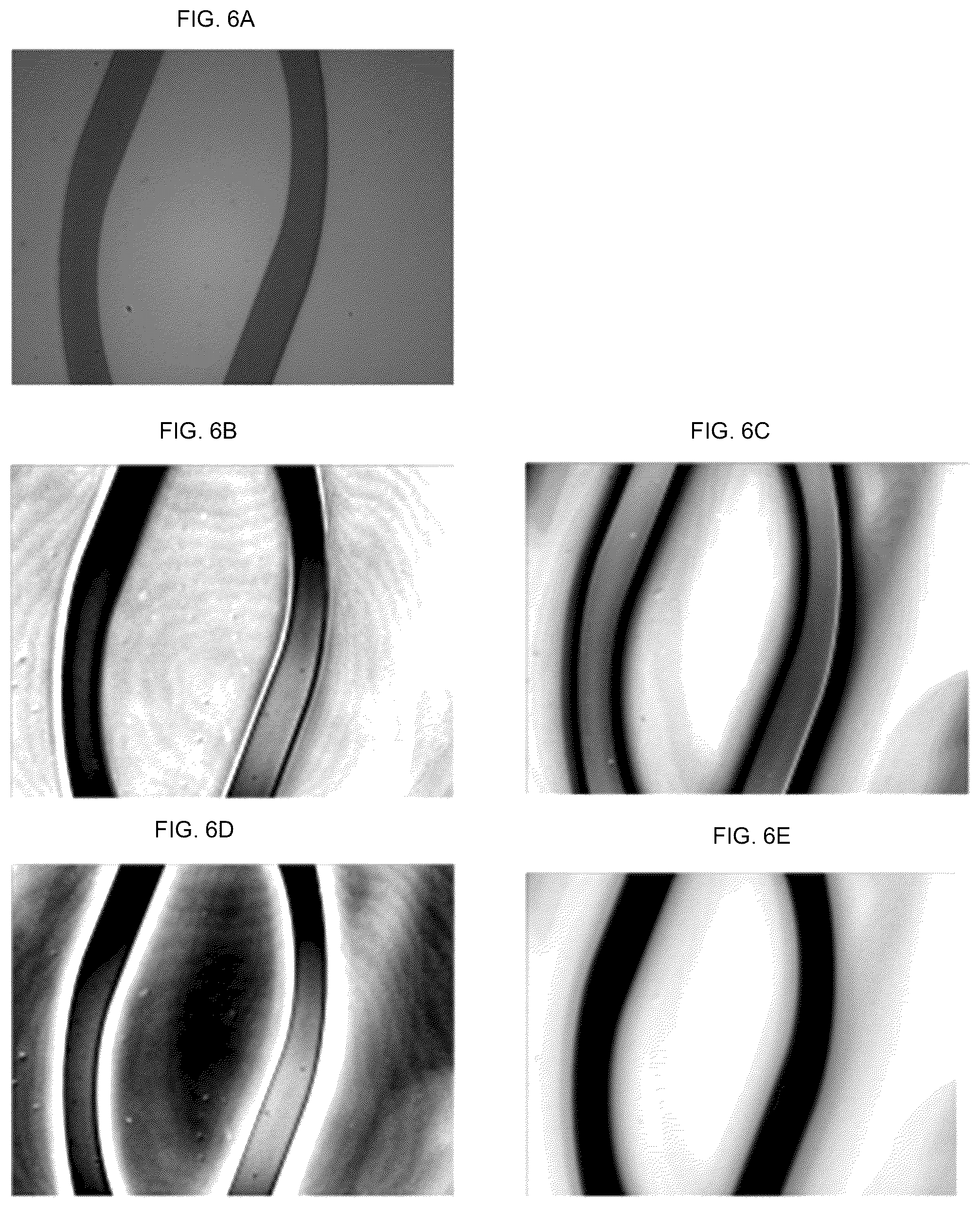 Patent US12306092 Figure 6 – Imaging spectropolarimeter and sample characterization methodology utilizing the same