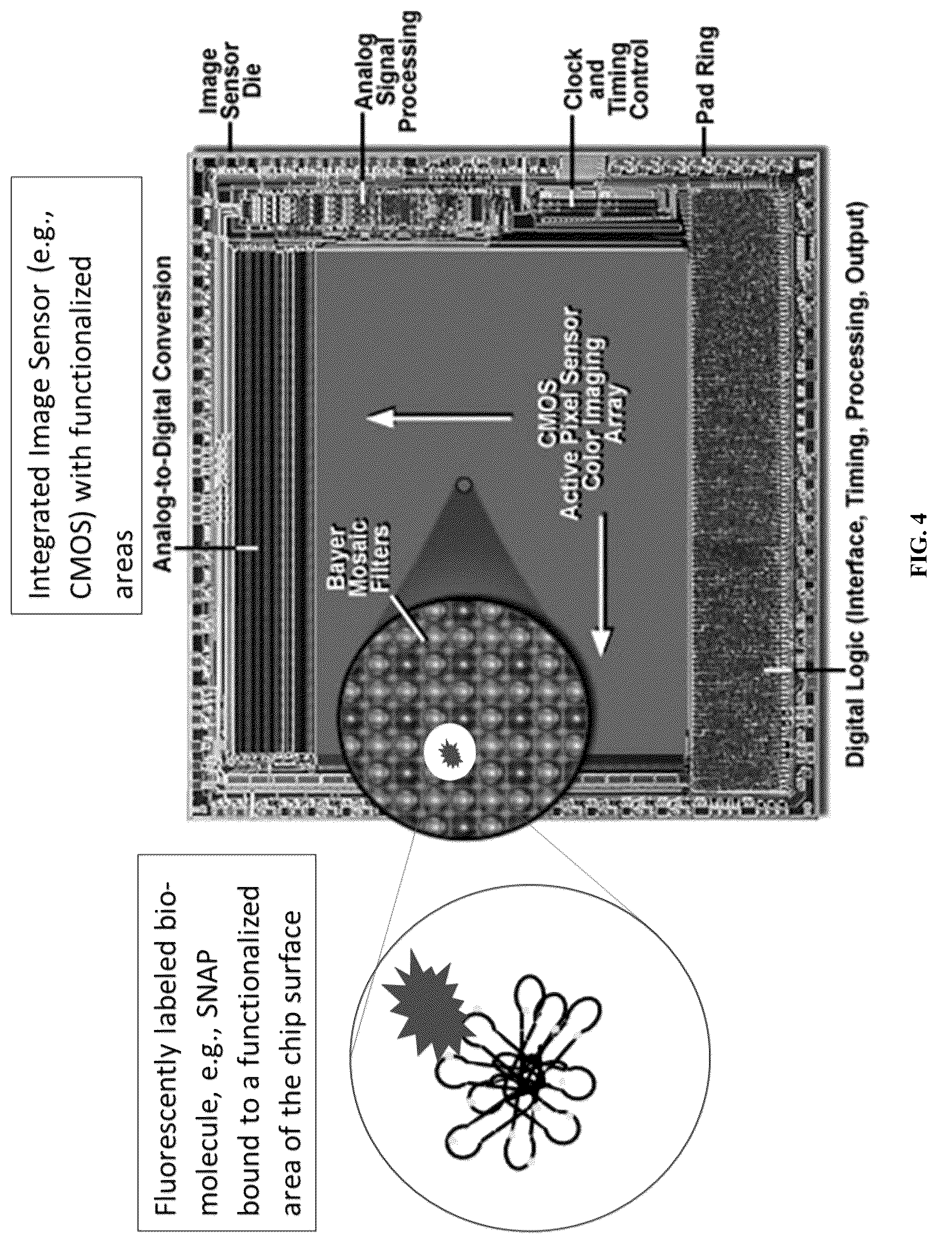 Patent US12306093 Figure 4 – Methods and systems for integrated on-chip single-molecule detection