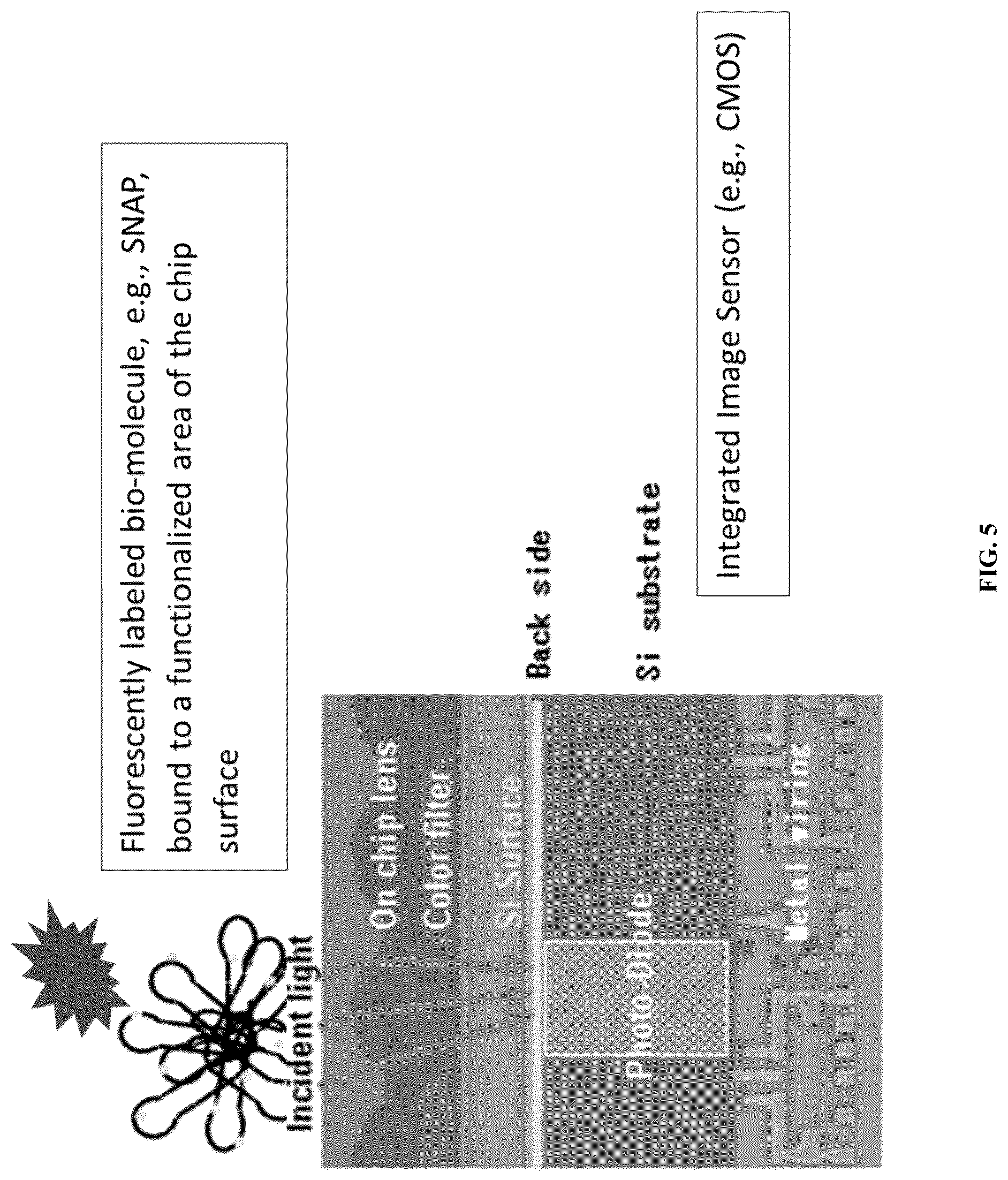 Patent US12306093 Figure 5 – Methods and systems for integrated on-chip single-molecule detection