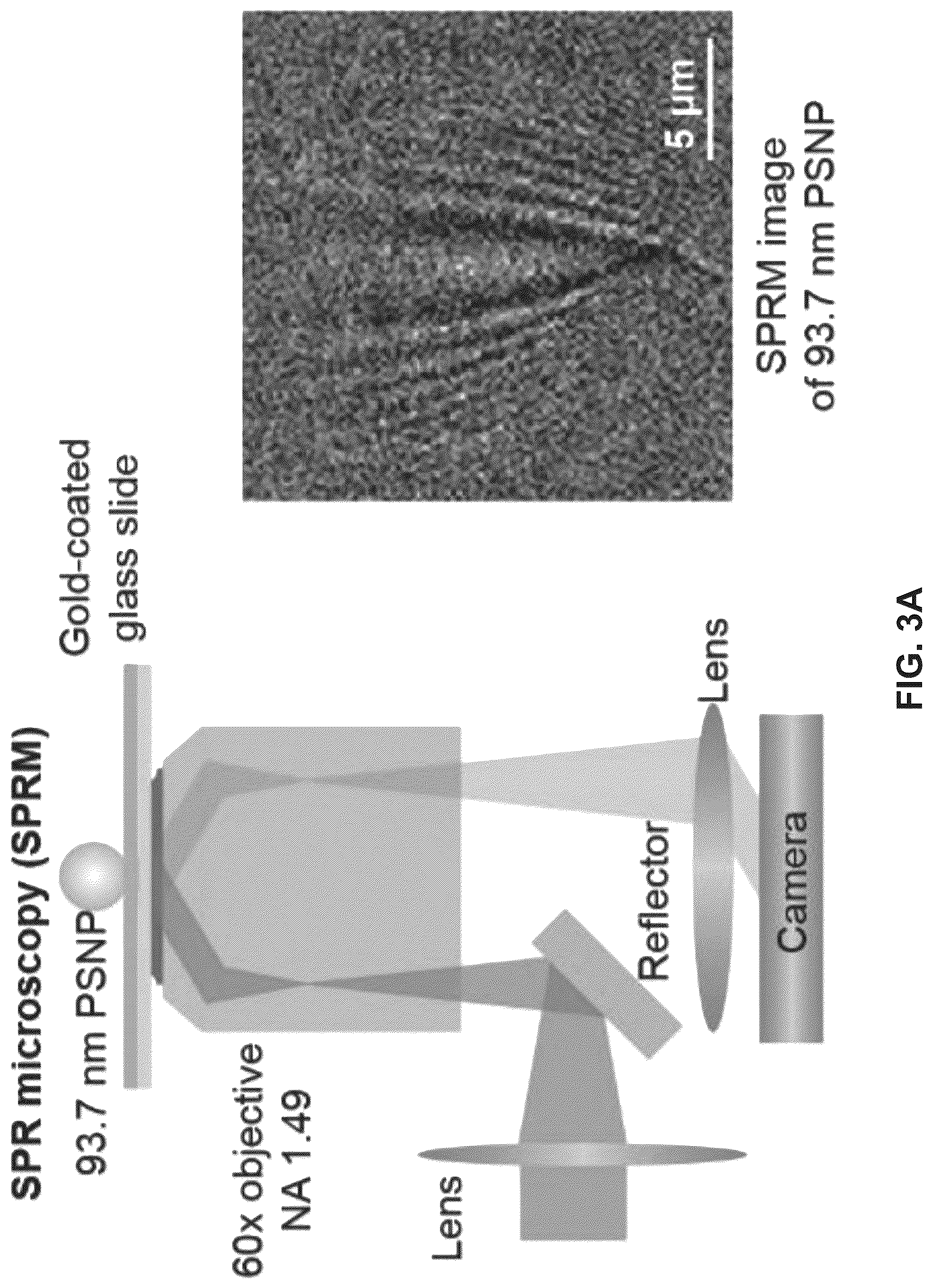 Patent US12306098 Figure 4 – Methods and related aspects for analyzing exosomes