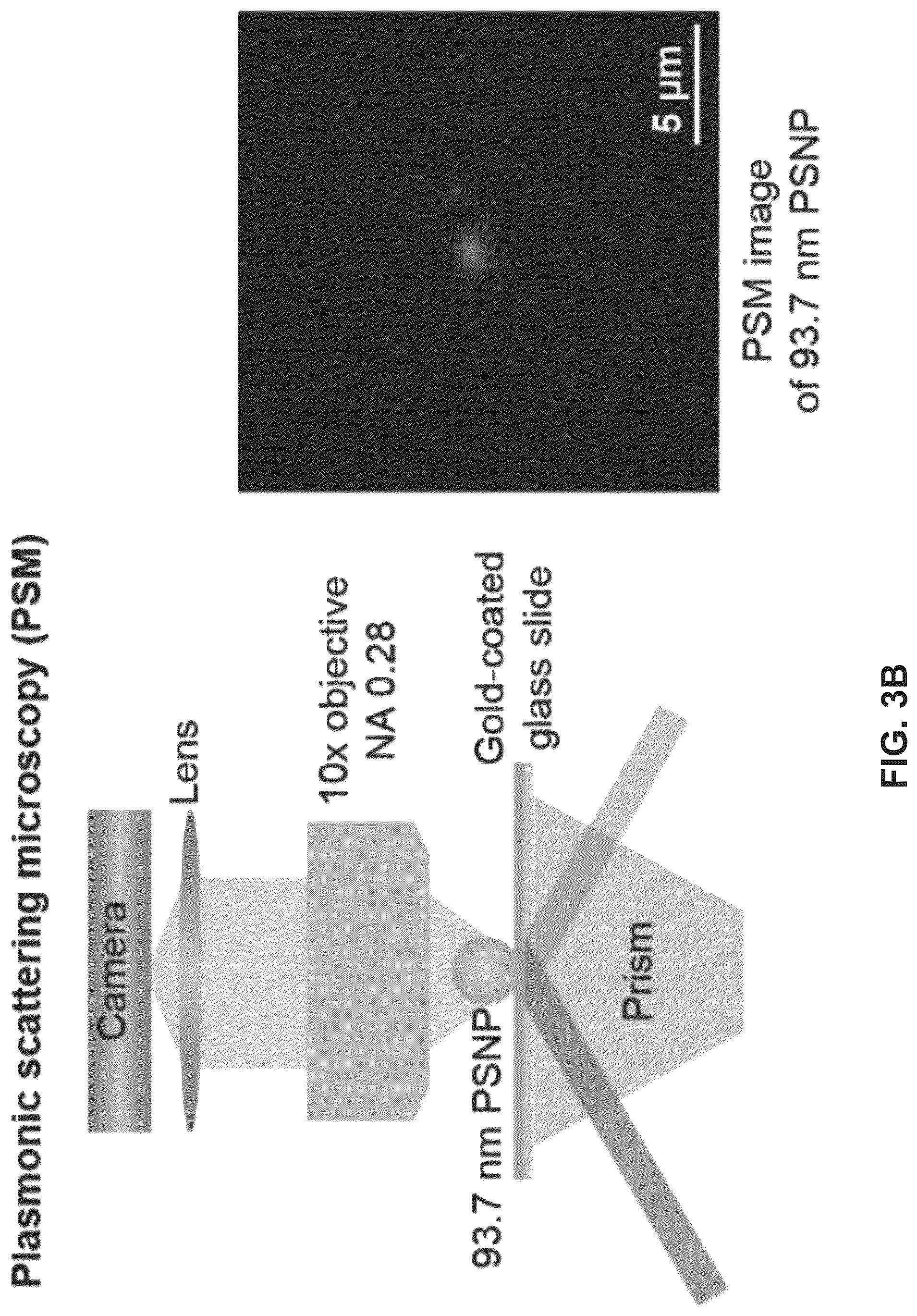 Patent US12306098 Figure 5 – Methods and related aspects for analyzing exosomes