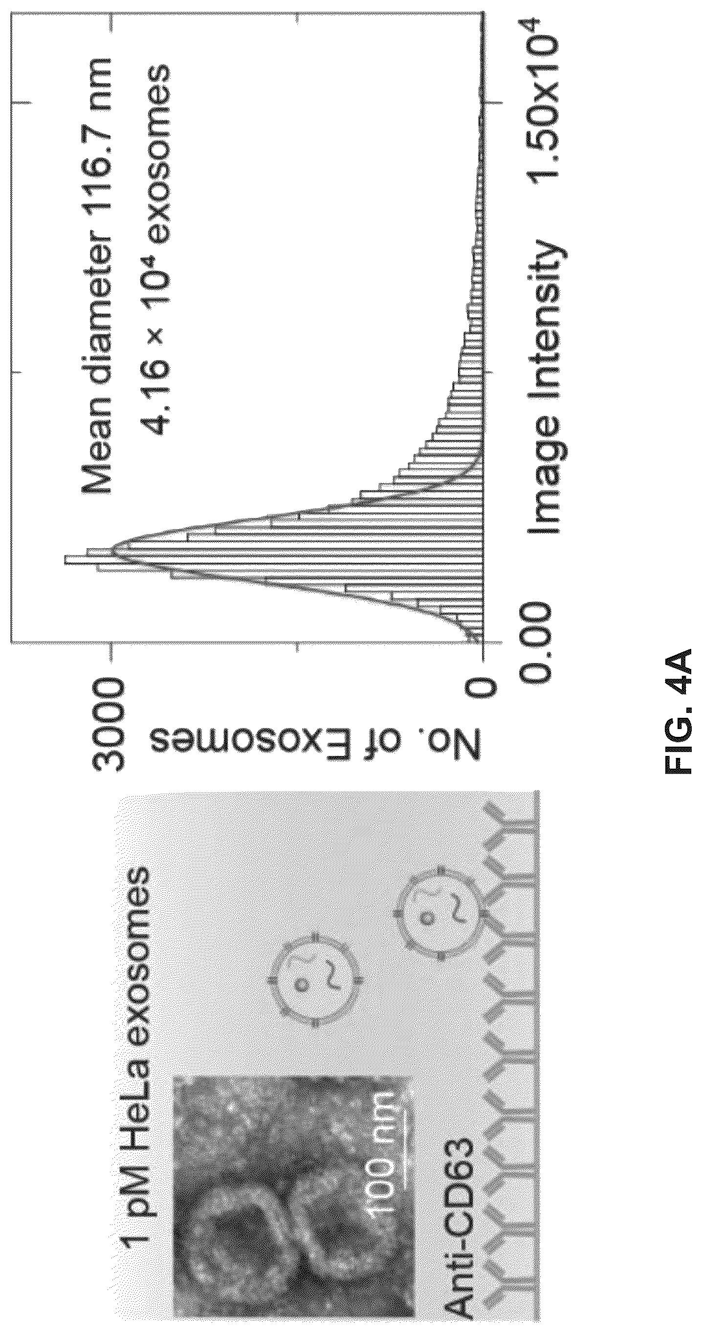 Patent US12306098 Figure 9 – Methods and related aspects for analyzing exosomes