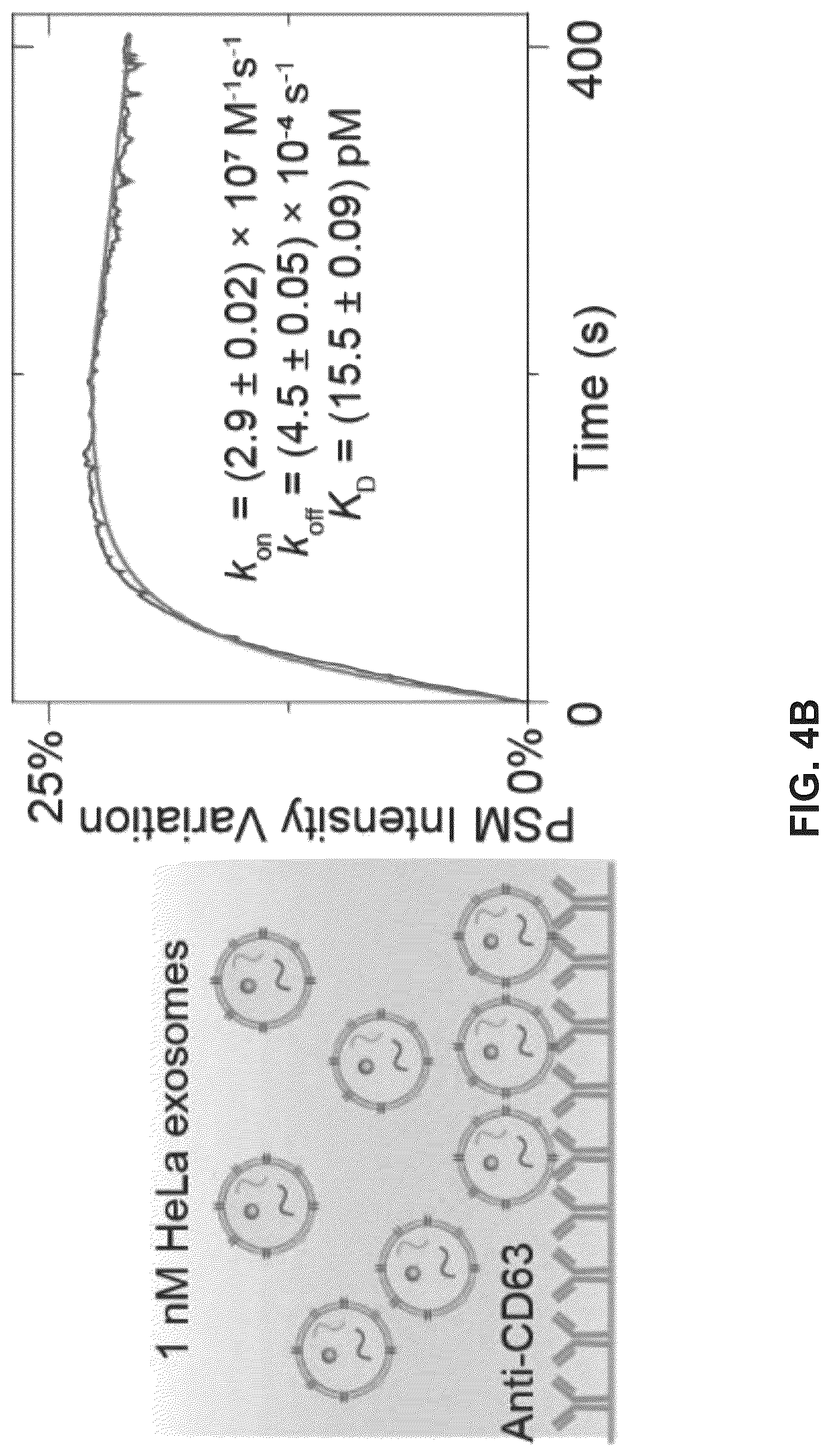 Patent US12306098 Figure 10 – Methods and related aspects for analyzing exosomes