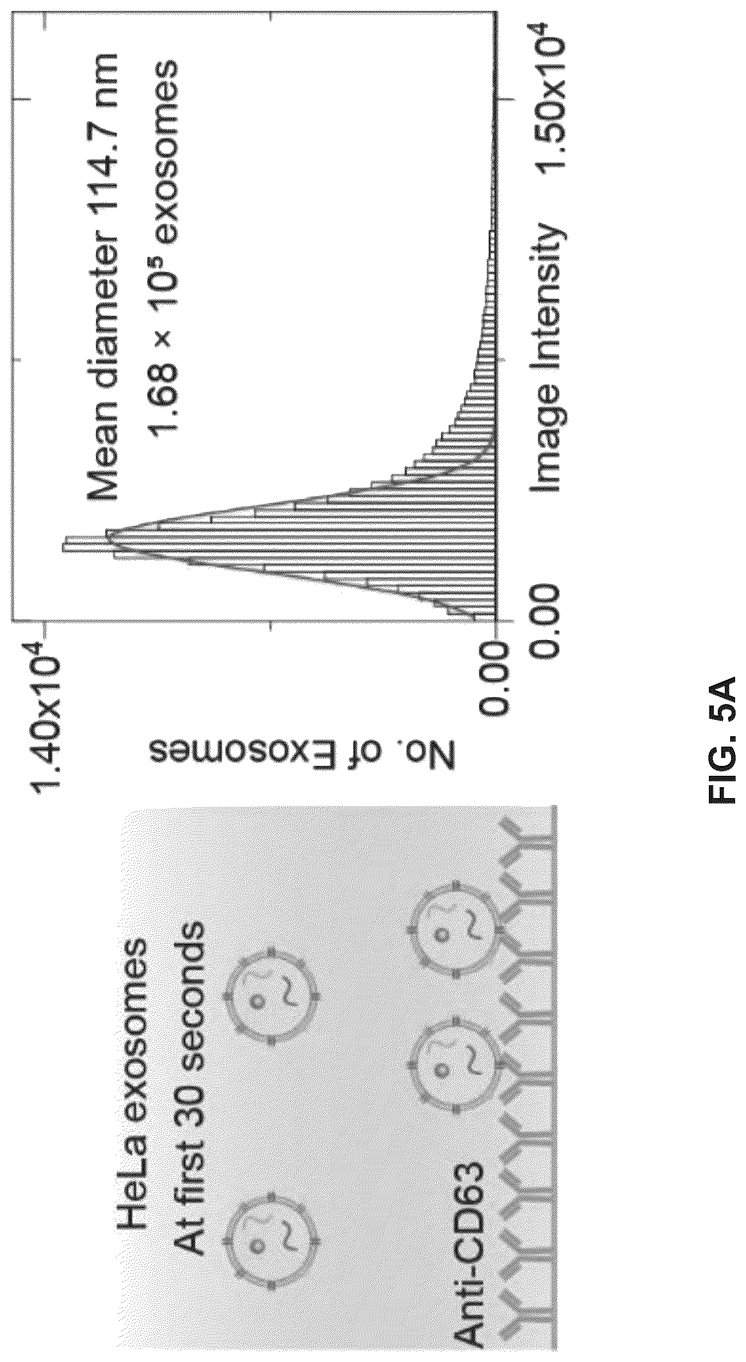 Patent US12306098 Figure 11 – Methods and related aspects for analyzing exosomes