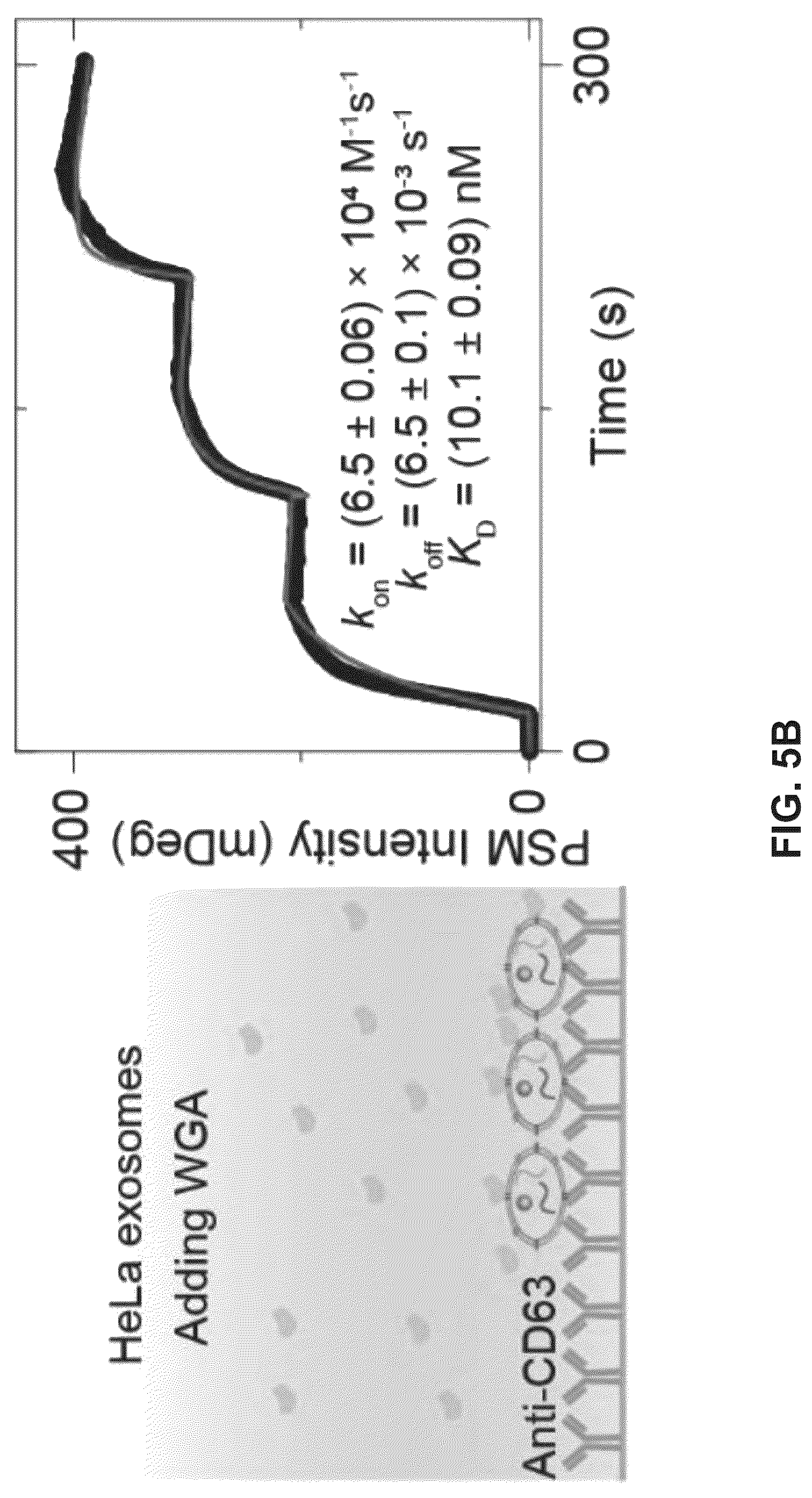 Patent US12306098 Figure 12 – Methods and related aspects for analyzing exosomes