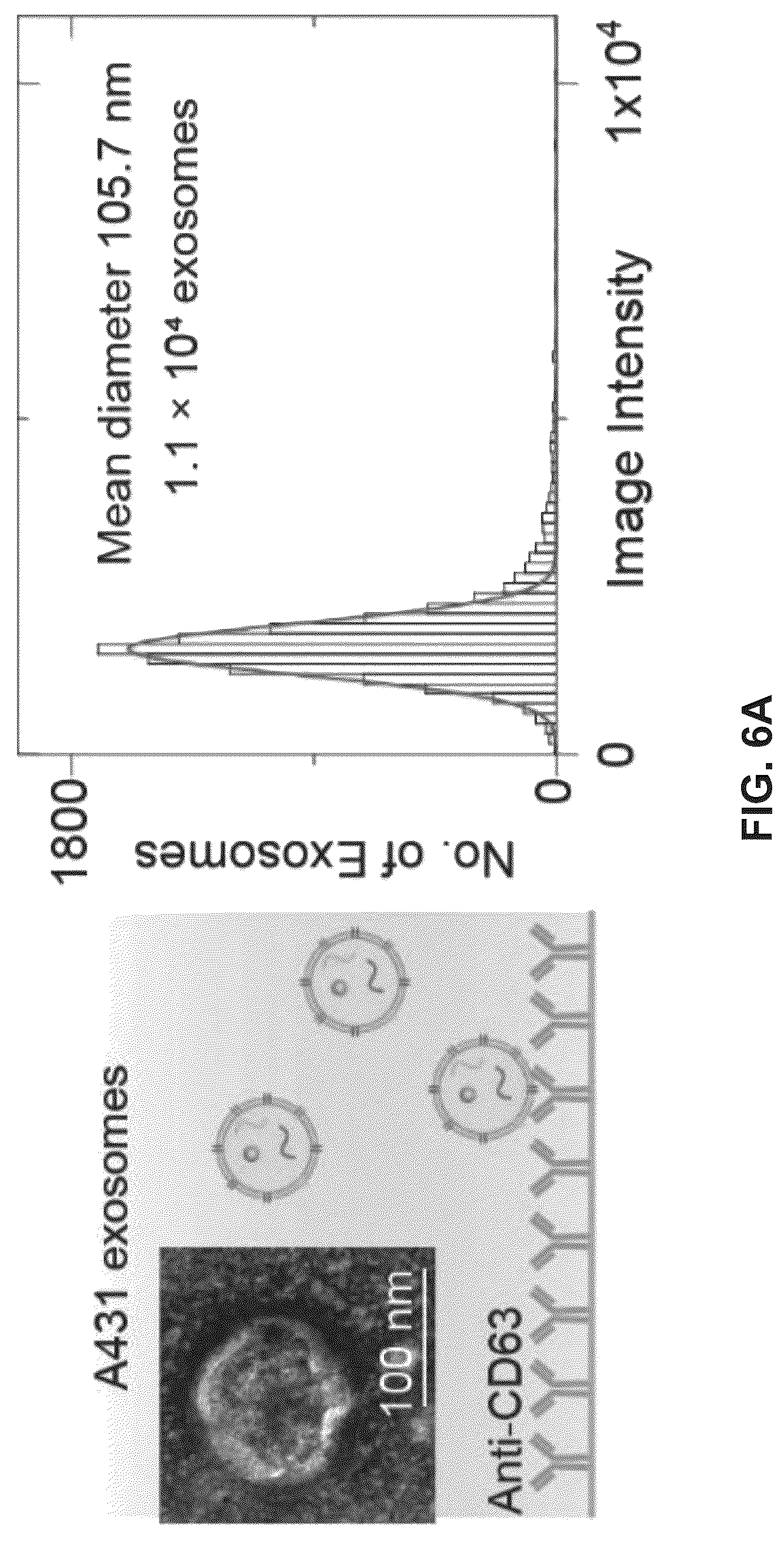 Patent US12306098 Figure 13 – Methods and related aspects for analyzing exosomes