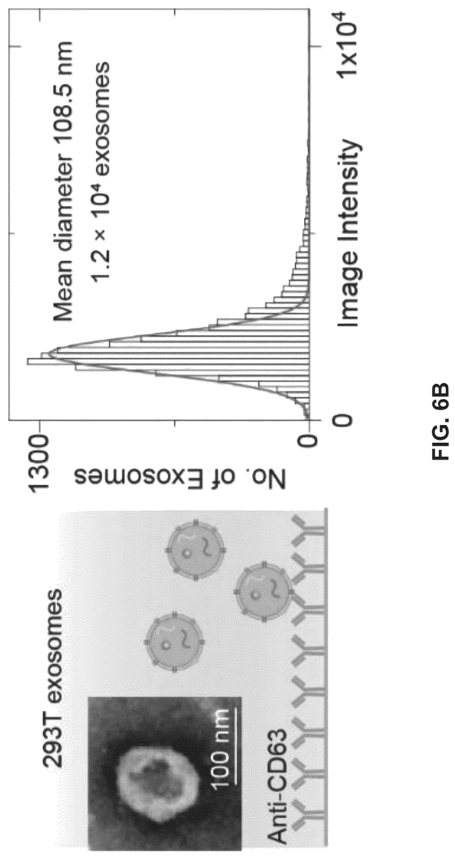 Patent US12306098 Figure 14 – Methods and related aspects for analyzing exosomes